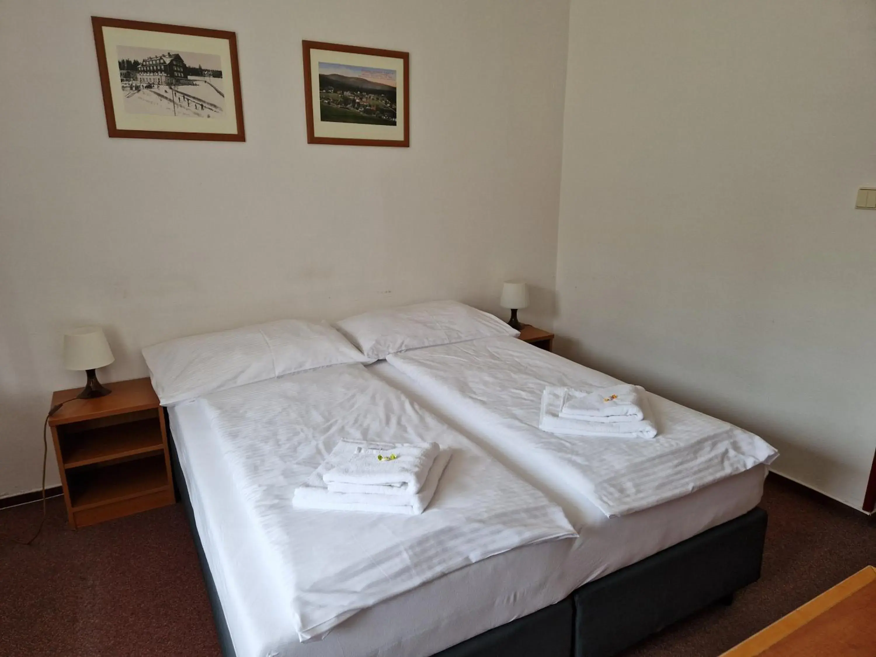 Standard Double Room in Hotel Harrachov Inn Standard Double Room in Hotel Harrachov Inn