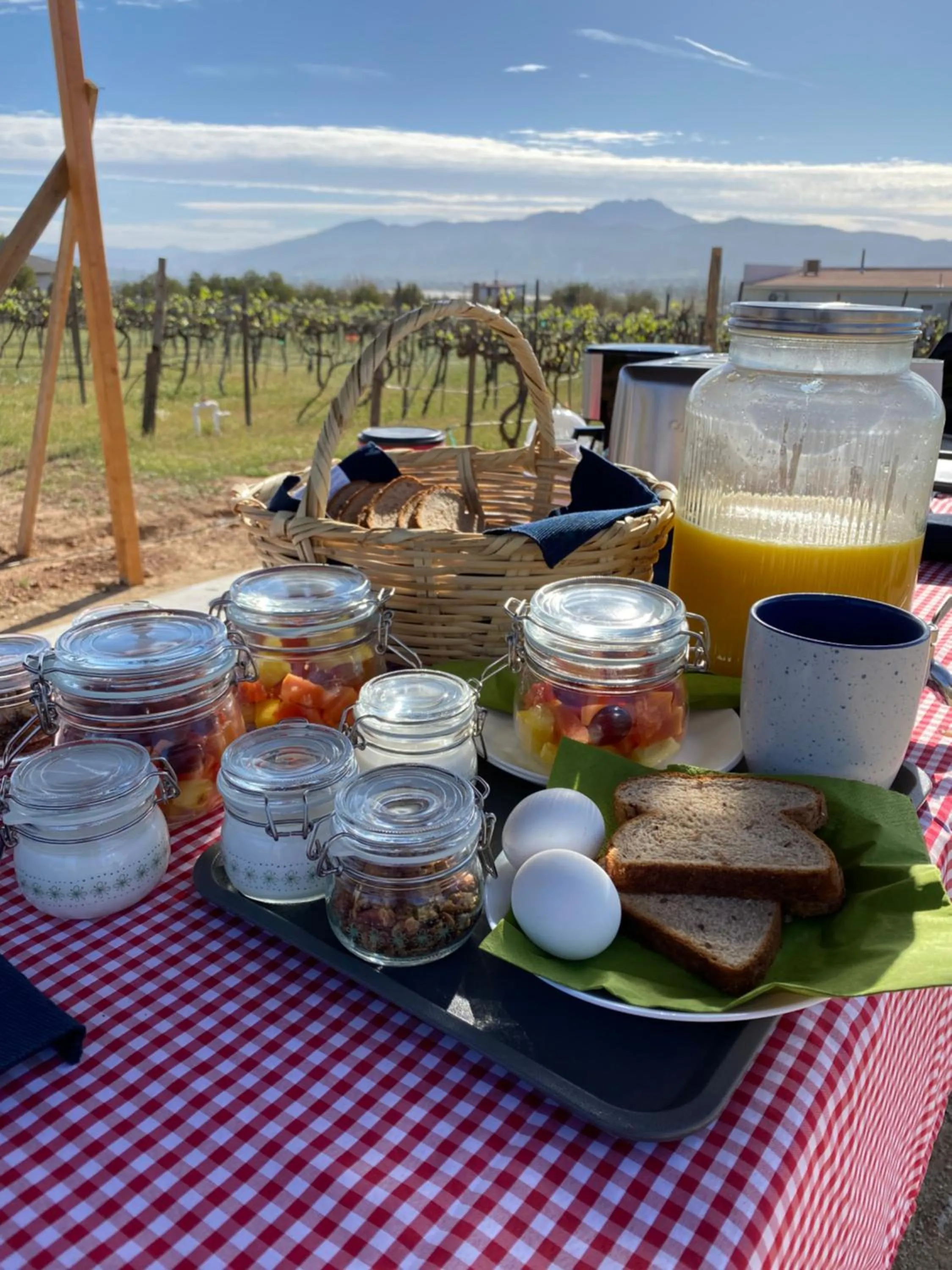 Continental breakfast in The Pangea Valle de Guadalupe