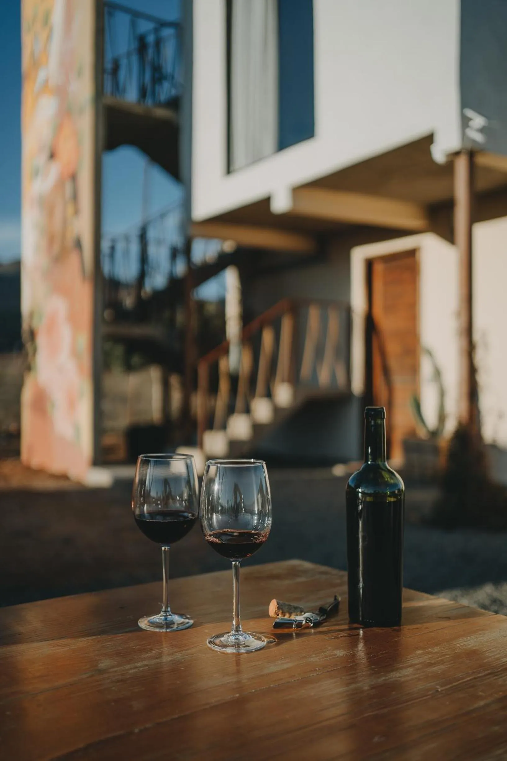 Alcoholic drinks in The Pangea Valle de Guadalupe
