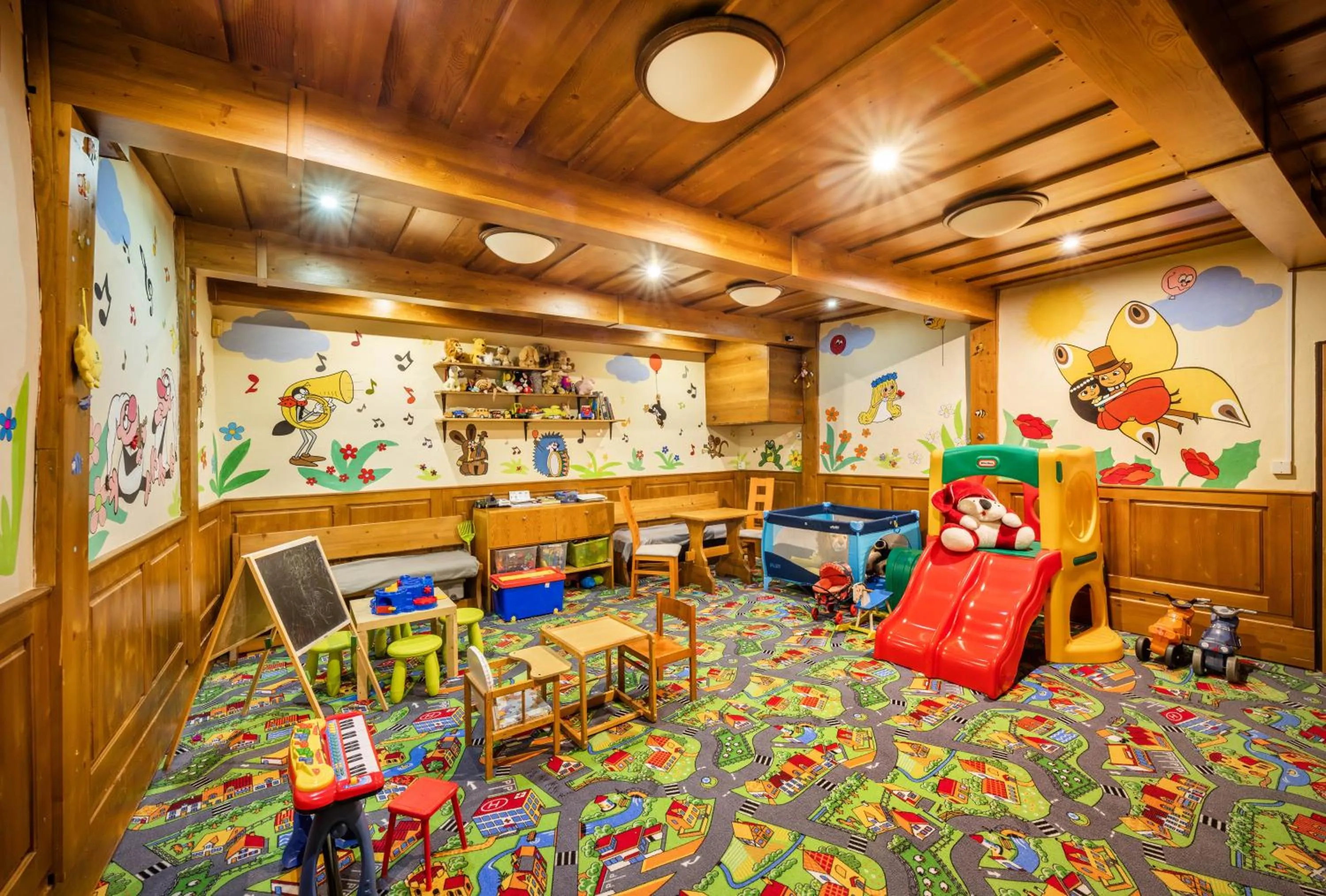 Kids's club in Záviš z Falkenštejna