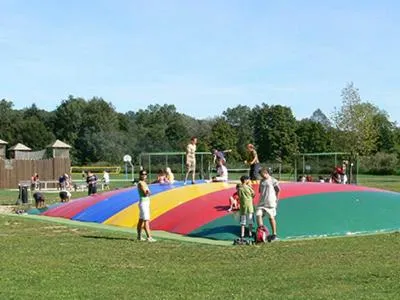 Entertainment in Záviš z Falkenštejna