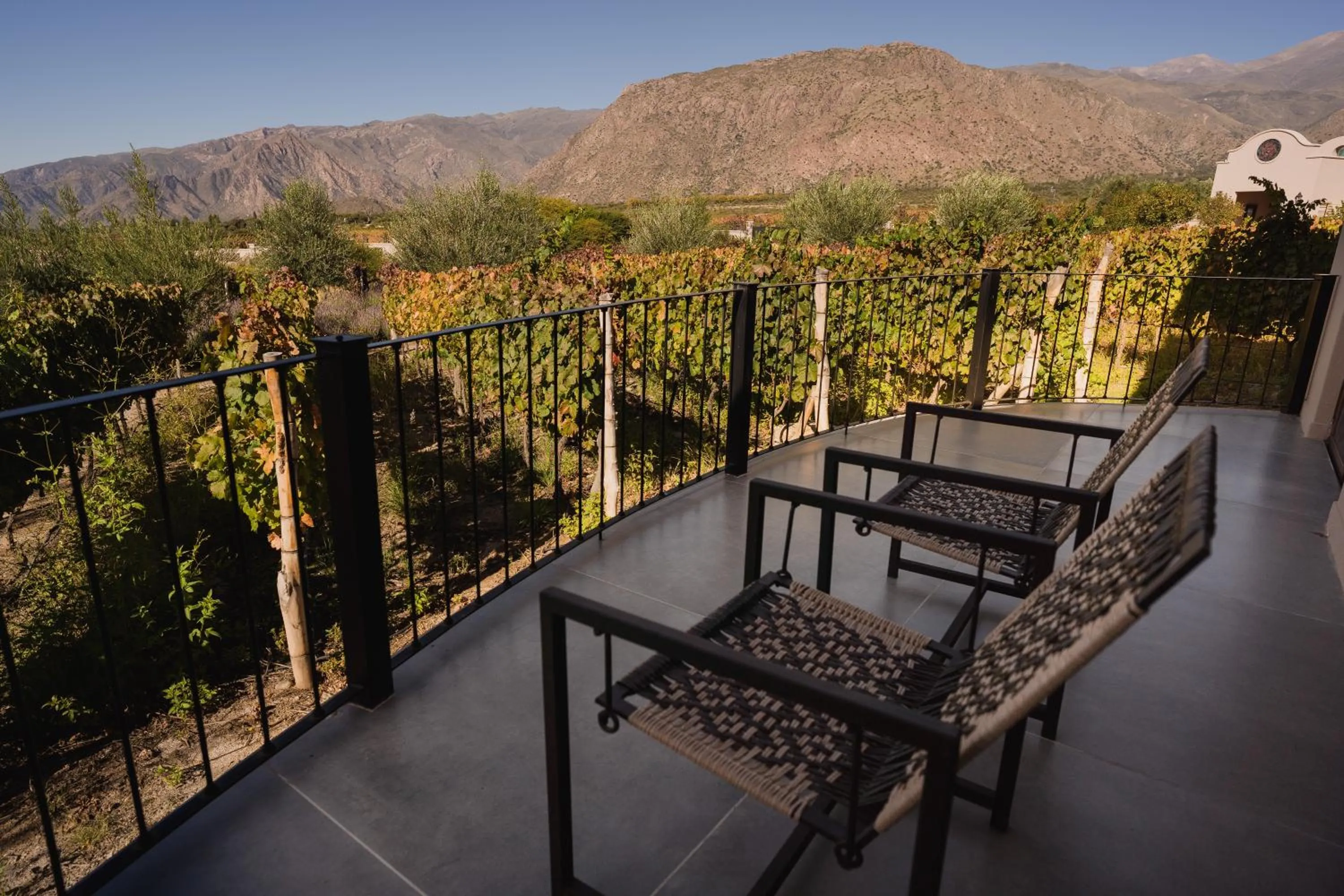 Balcony/Terrace in Piattelli Wine Resort Hotel Cafayate