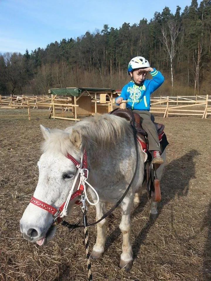 Horse-riding in Hotel Klor