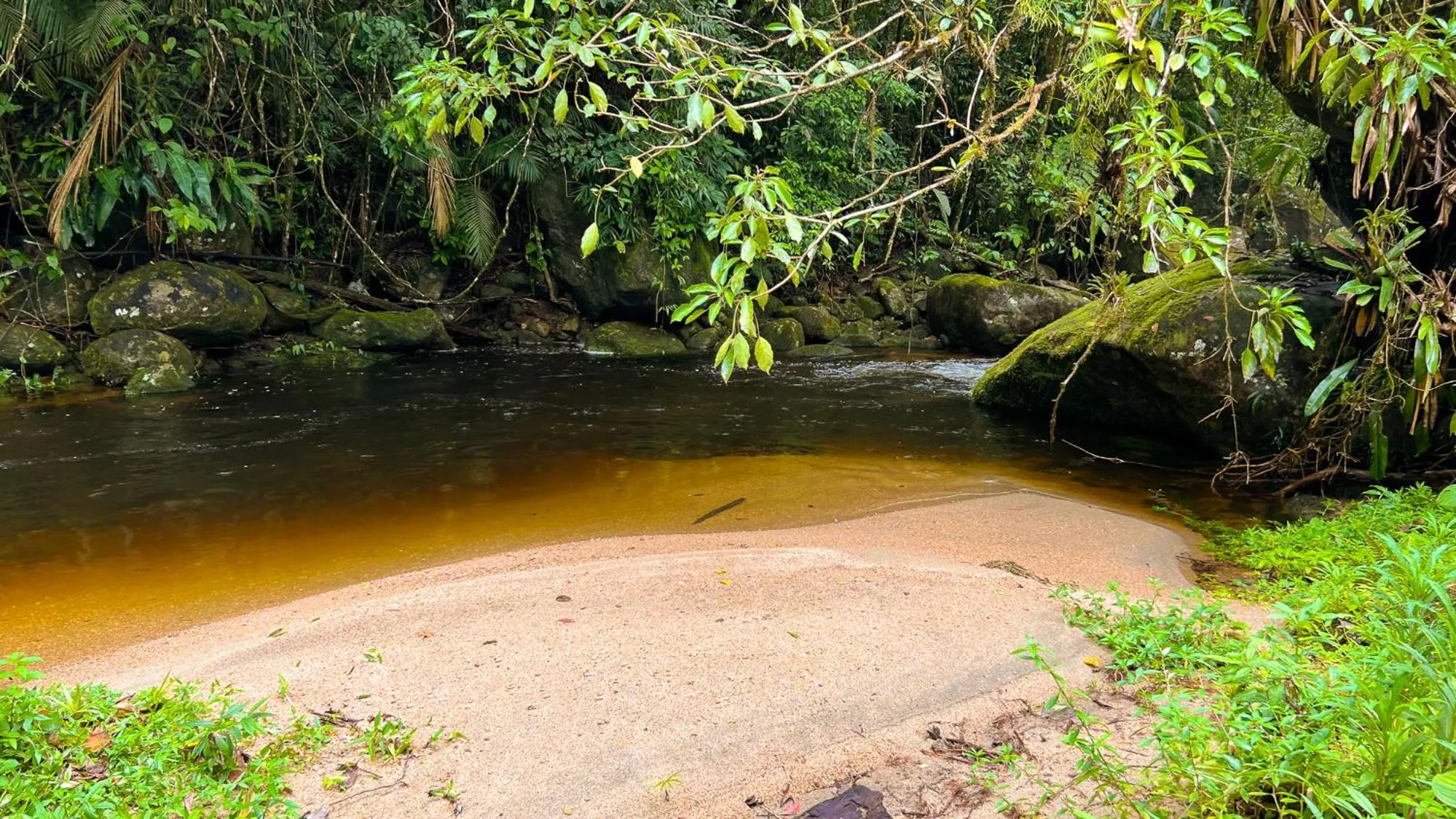 Natural landscape in Pousada Ananda Parivara