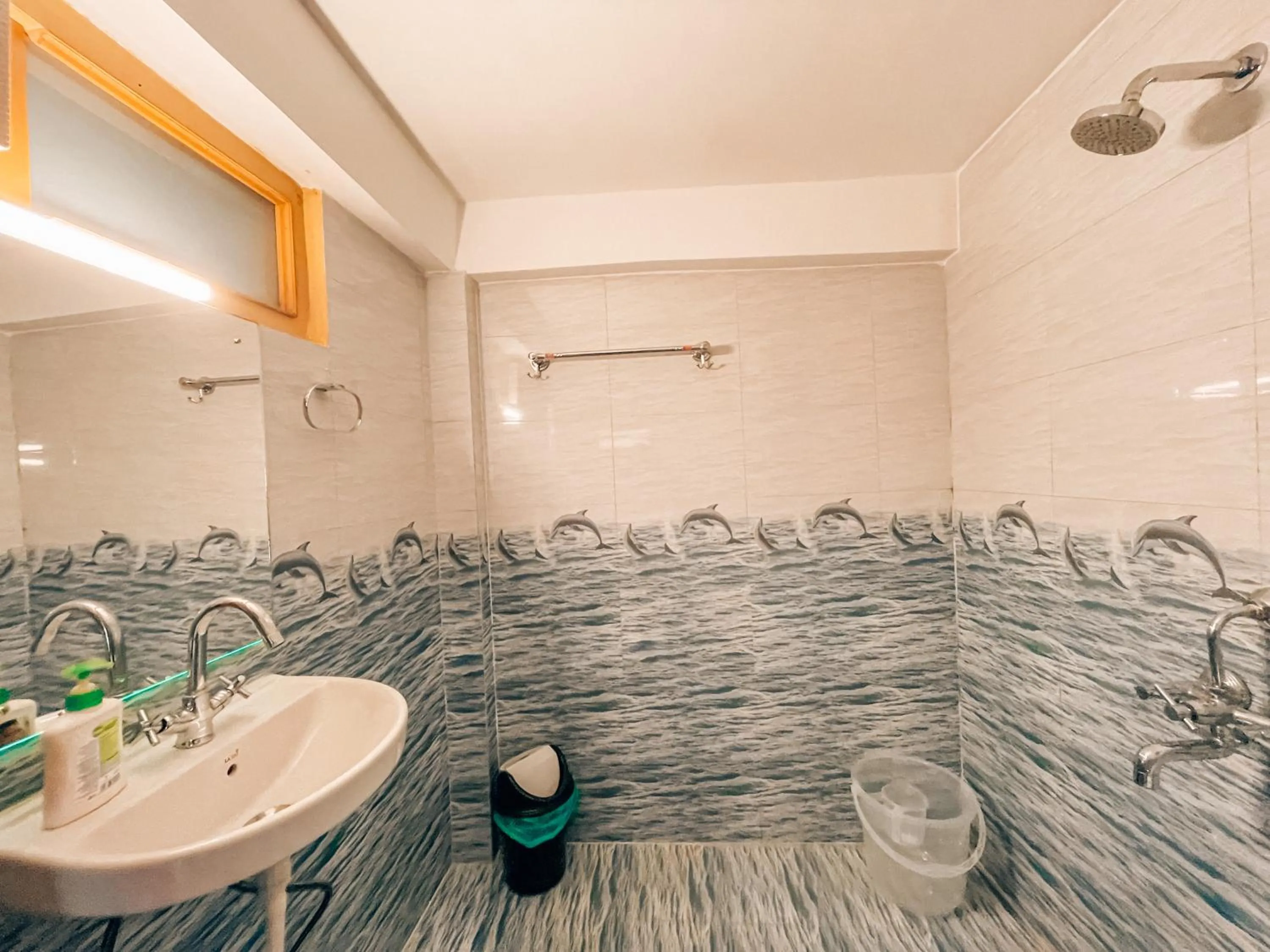 Shower in Madpackers Jibhi - Of Streamsides & Waterfalls