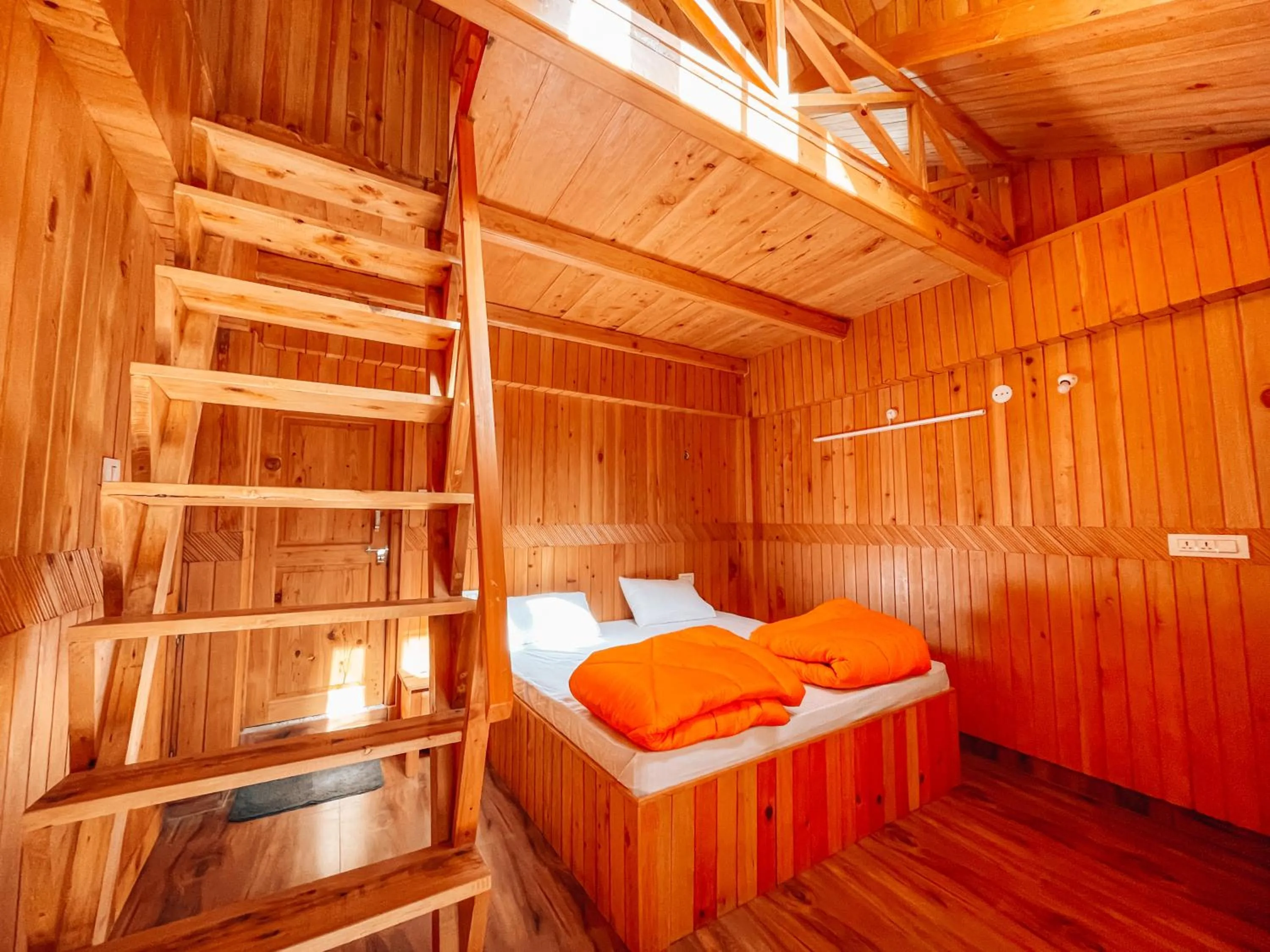 Photo of the whole room, Bed in Madpackers Jibhi - Of Streamsides & Waterfalls