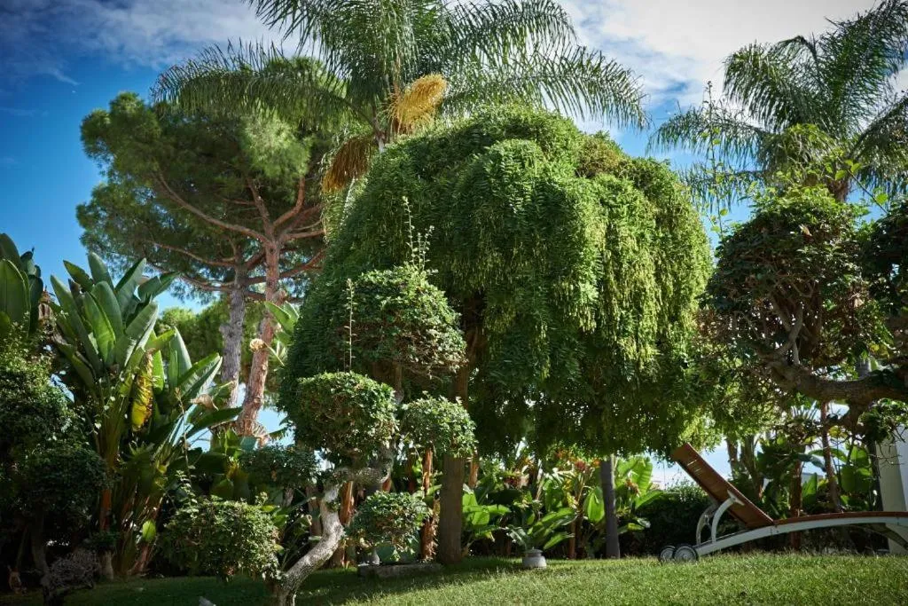 Colonna Rooms & apartment