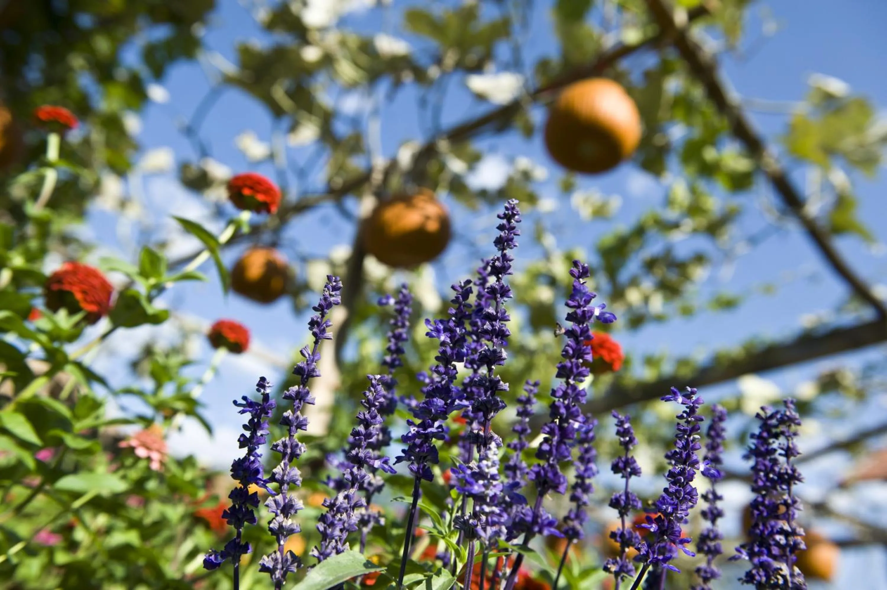 Other in mittendorf klimaresidence