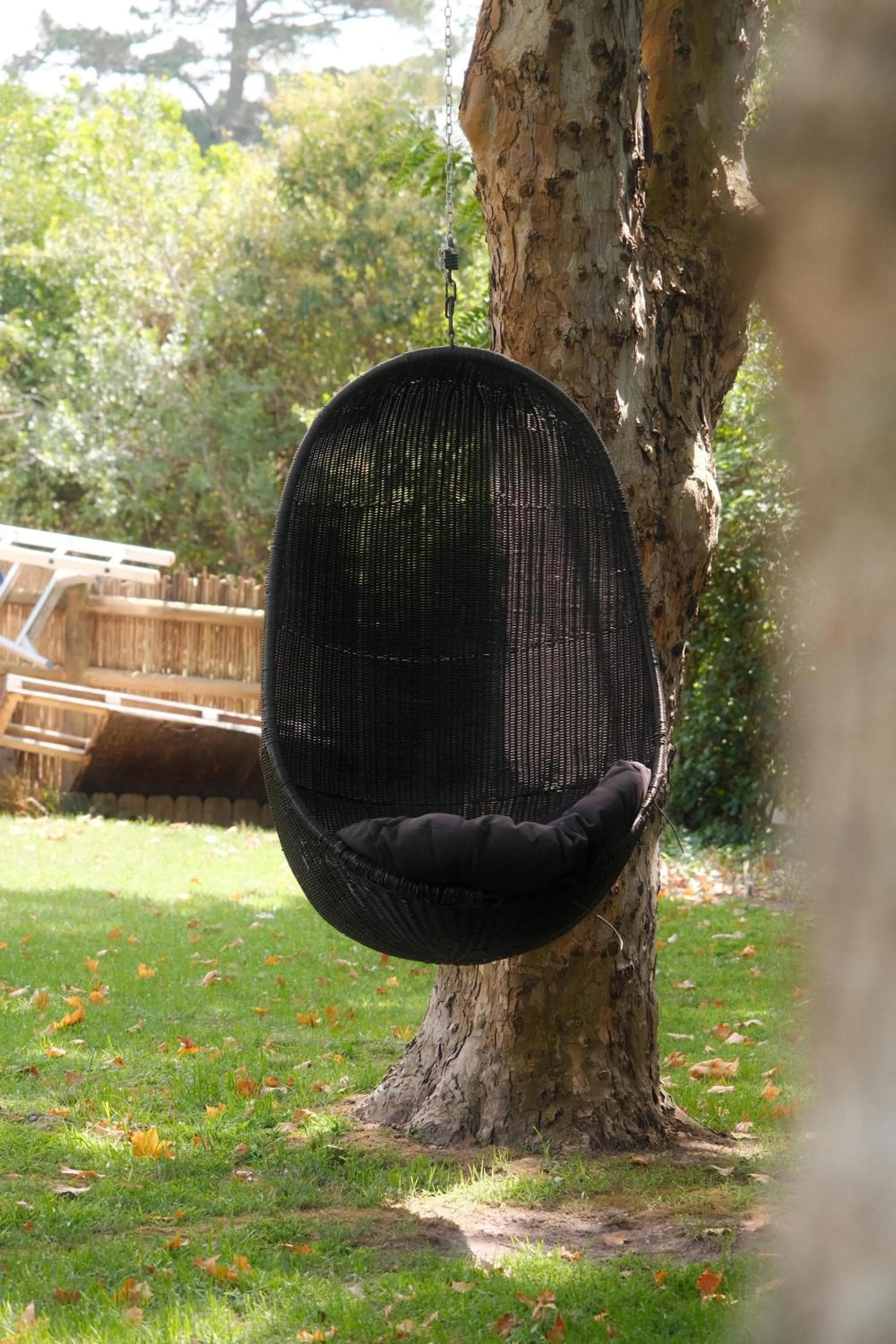 Garden in BWHALE guest house B&B