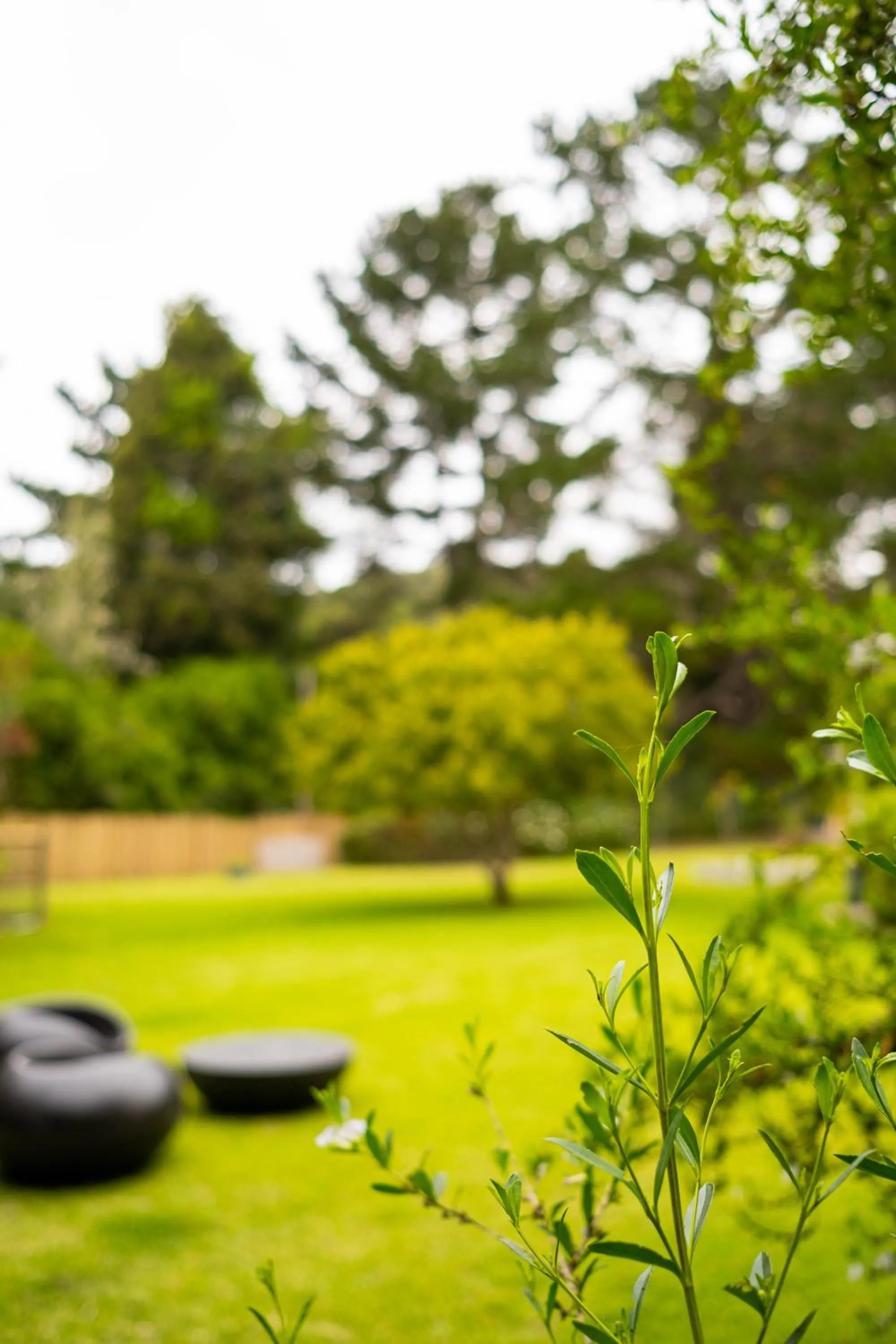 Day in BWHALE guest house B&B