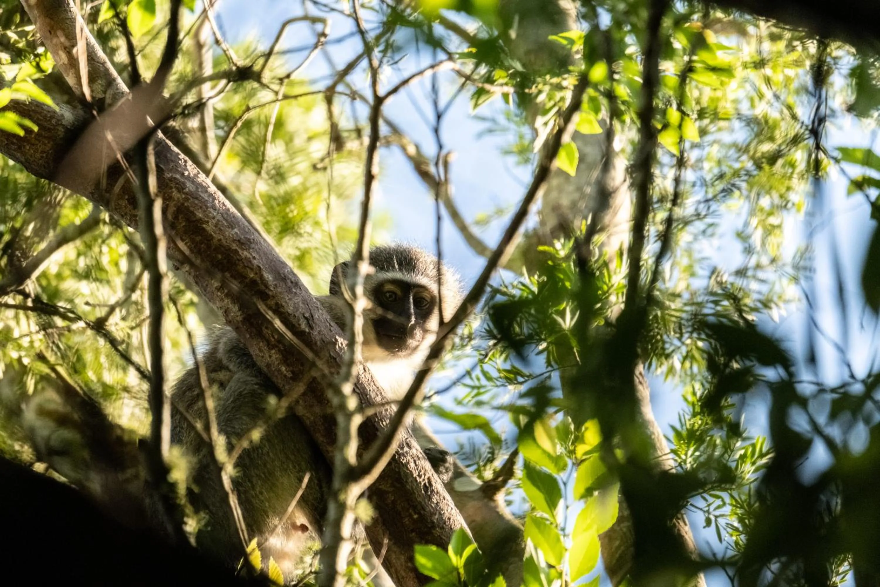 Day in BWHALE guest house B&B