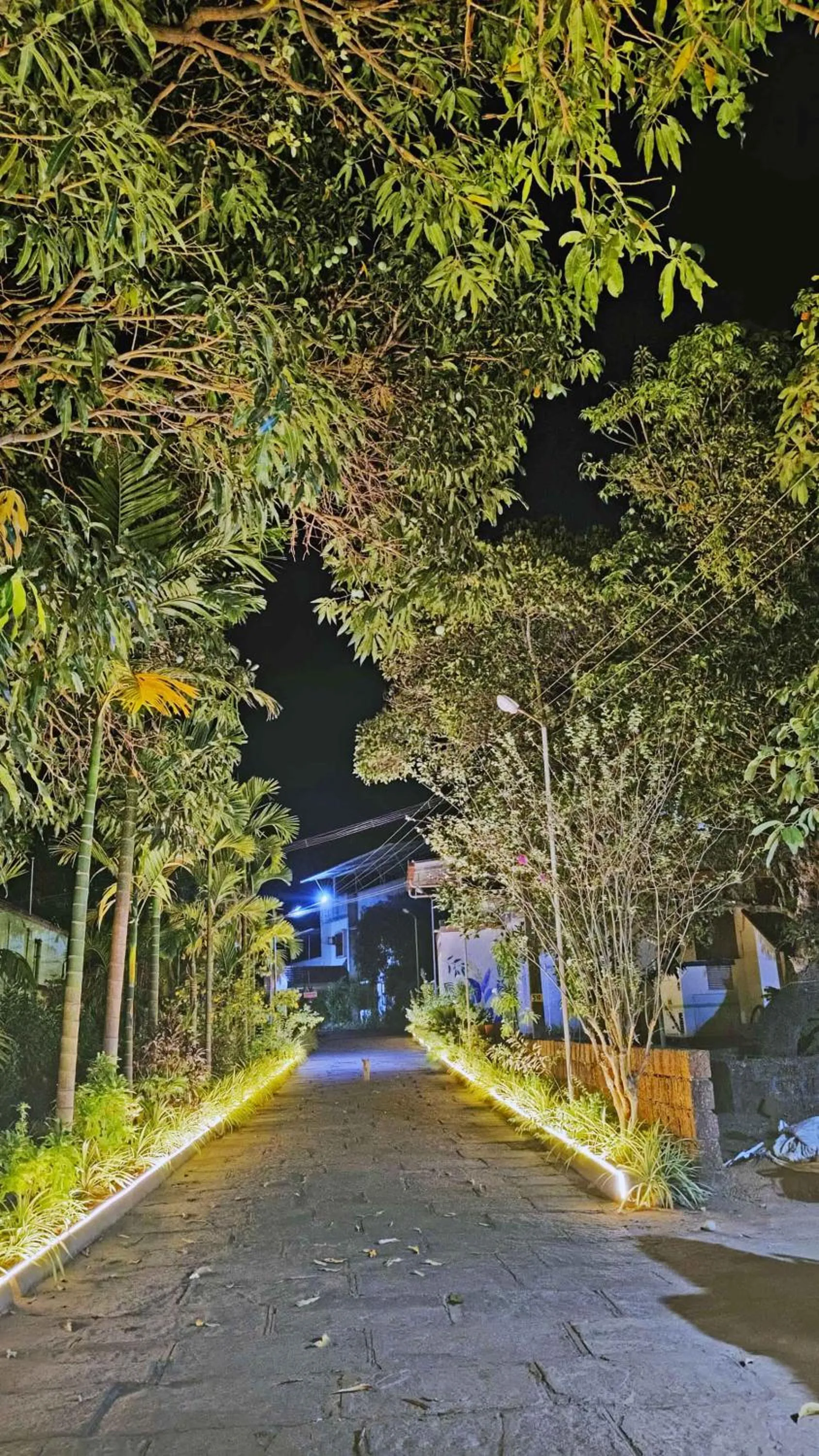 Sunny's Serenity Resort