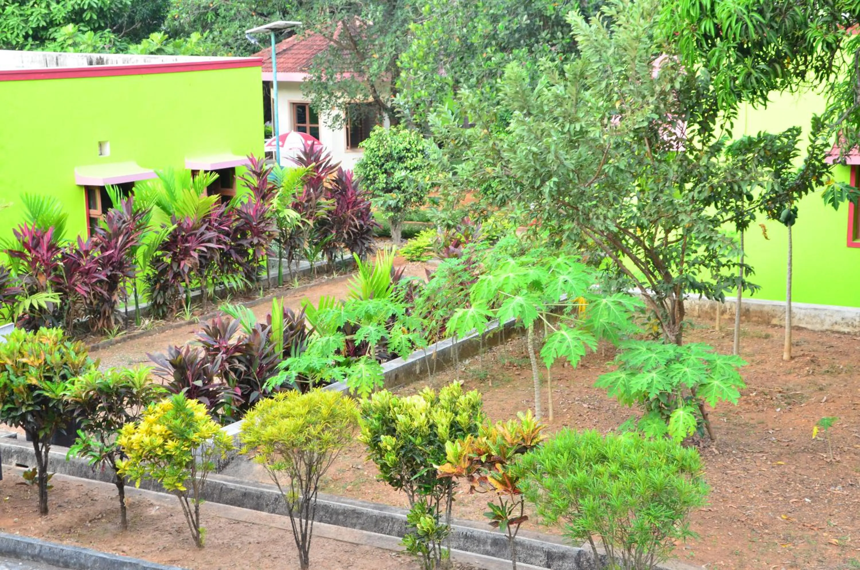 Garden in Sunny's Serenity Resort