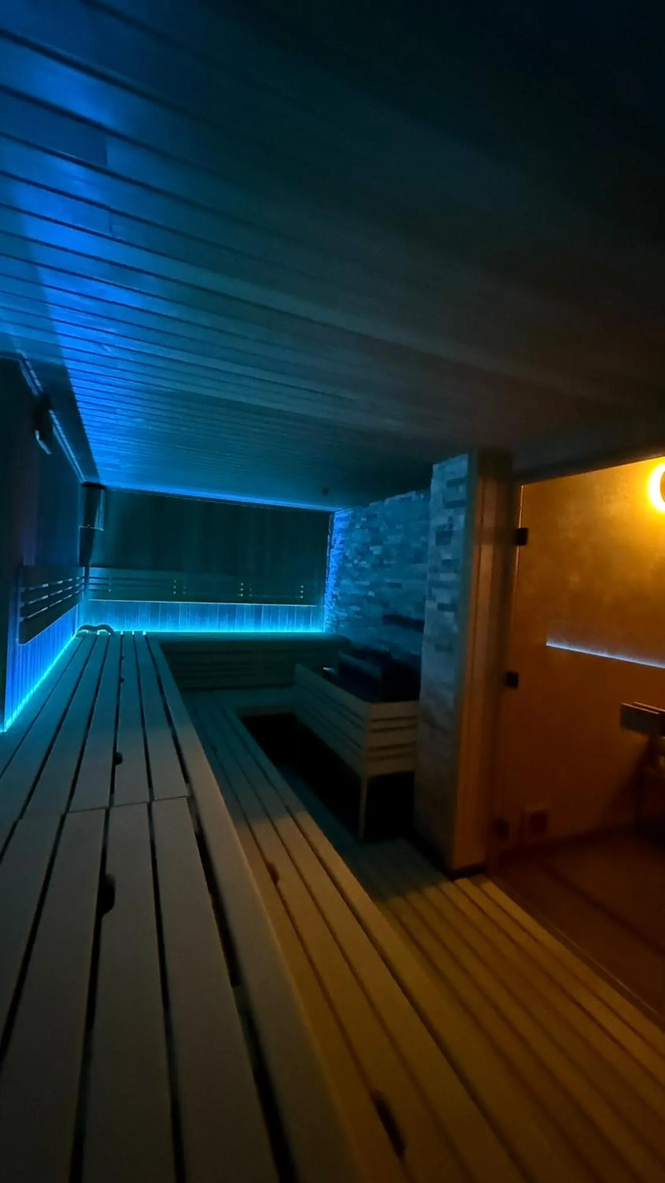 Sauna in LH Parkhotel Hluboka Nad Vltavou Congress & Wellness