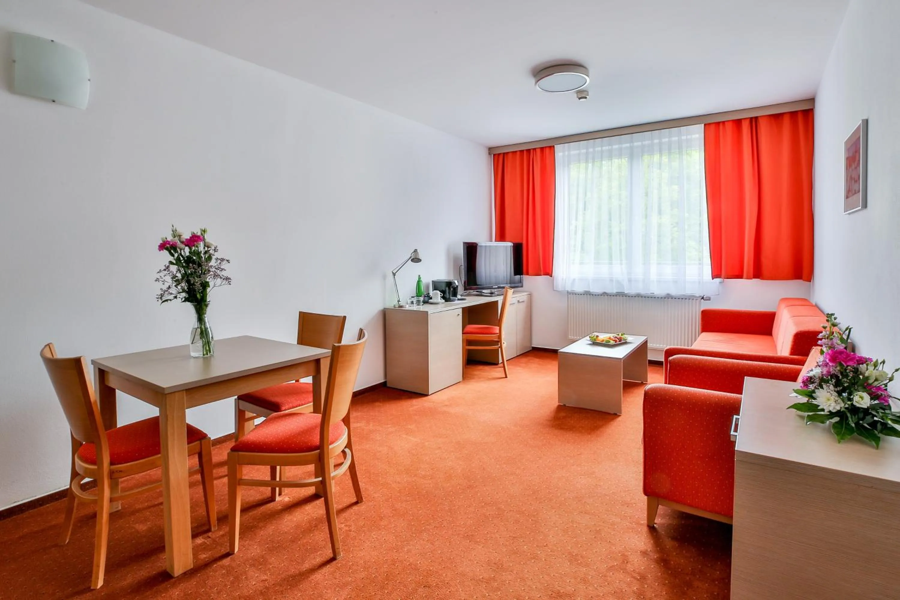 TV and multimedia in LH Parkhotel Hluboka Nad Vltavou Congress & Wellness