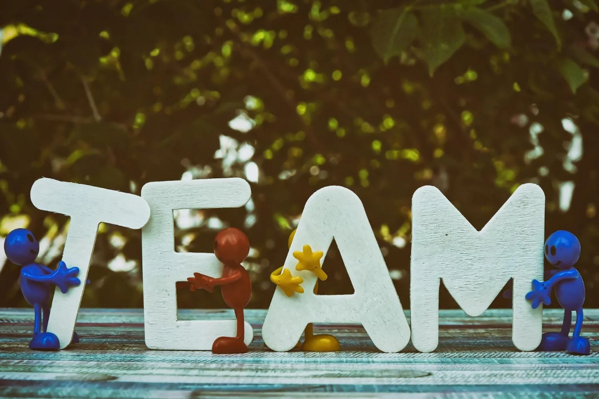 Logo/Certificate/Sign in Gościniec pod Żaglami