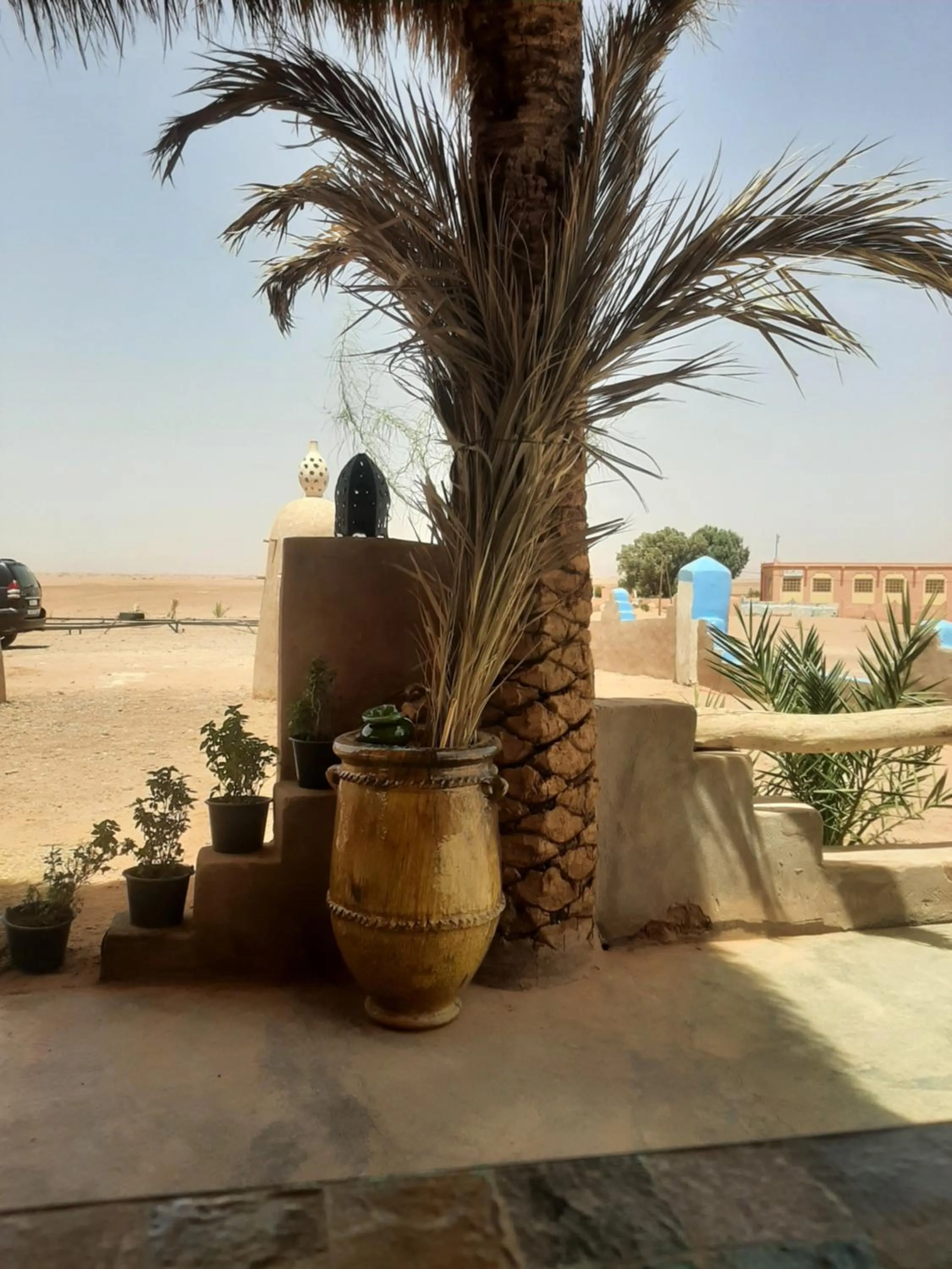 Auberge Kasbah Dar Sahara Tours