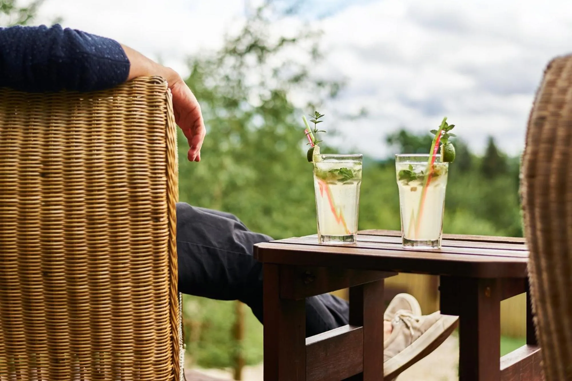 Garden in Boutique Hotel SwissHouse
