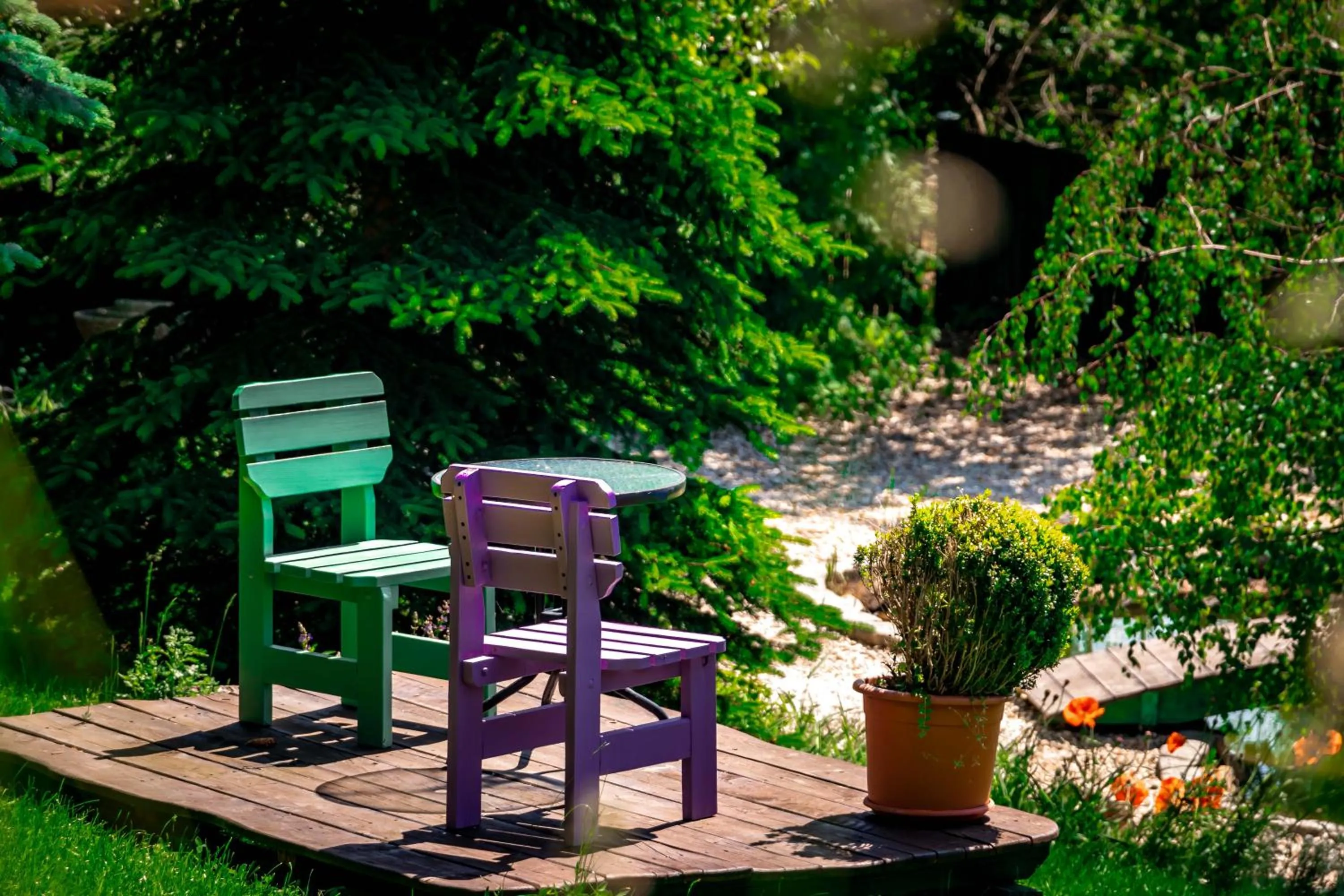 Garden in Boutique Hotel SwissHouse