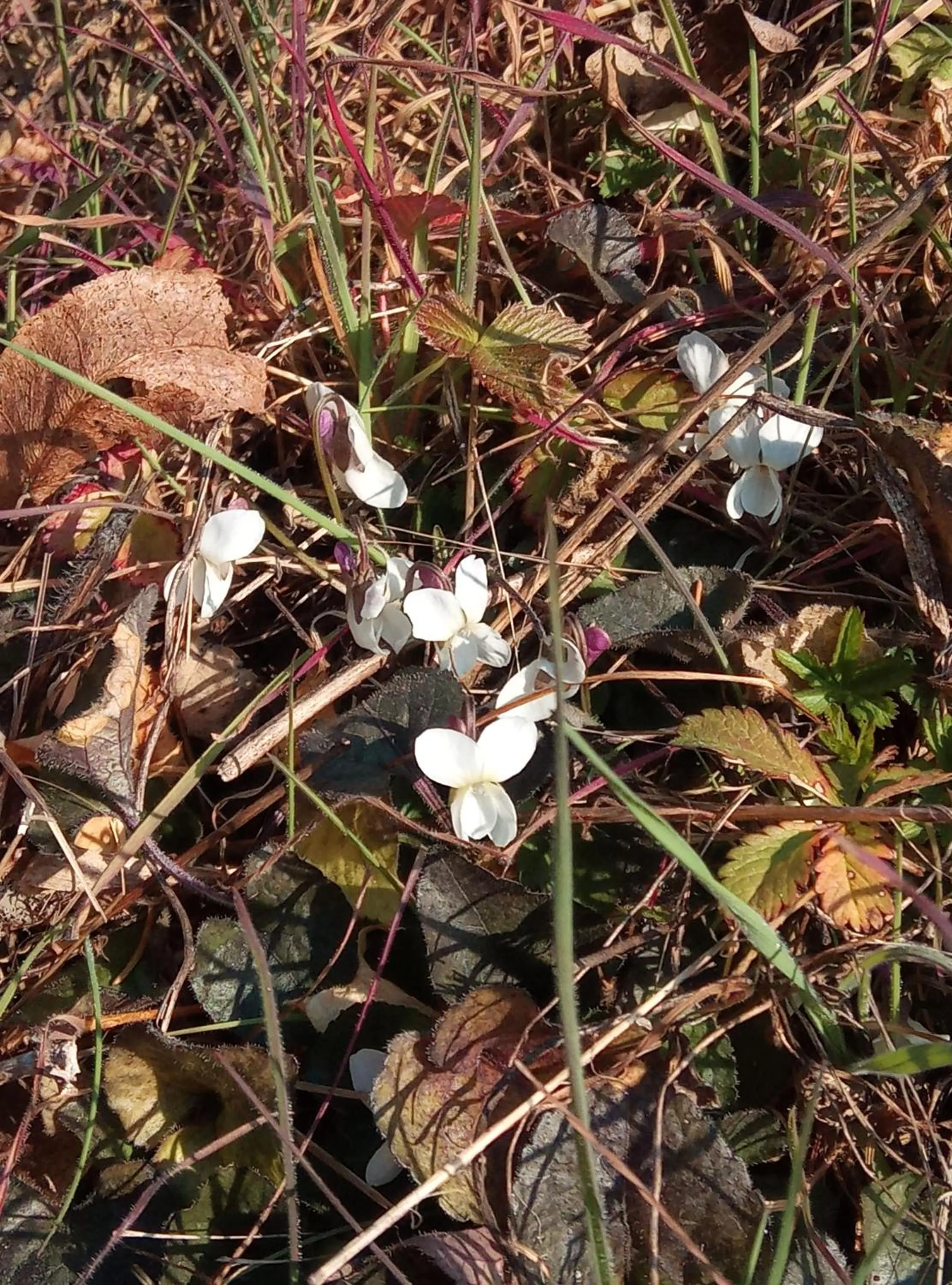 Natural landscape in U Tej