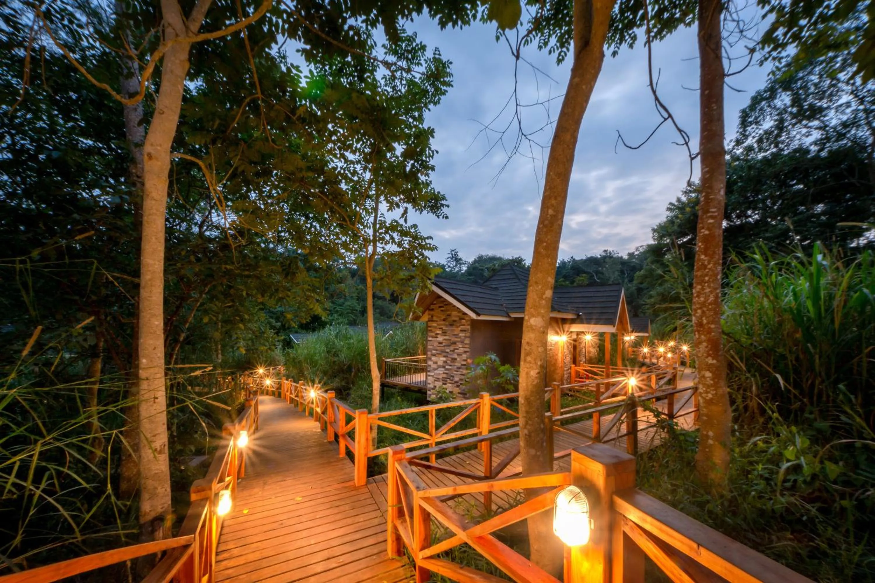 Night in Chimpundu Lodge