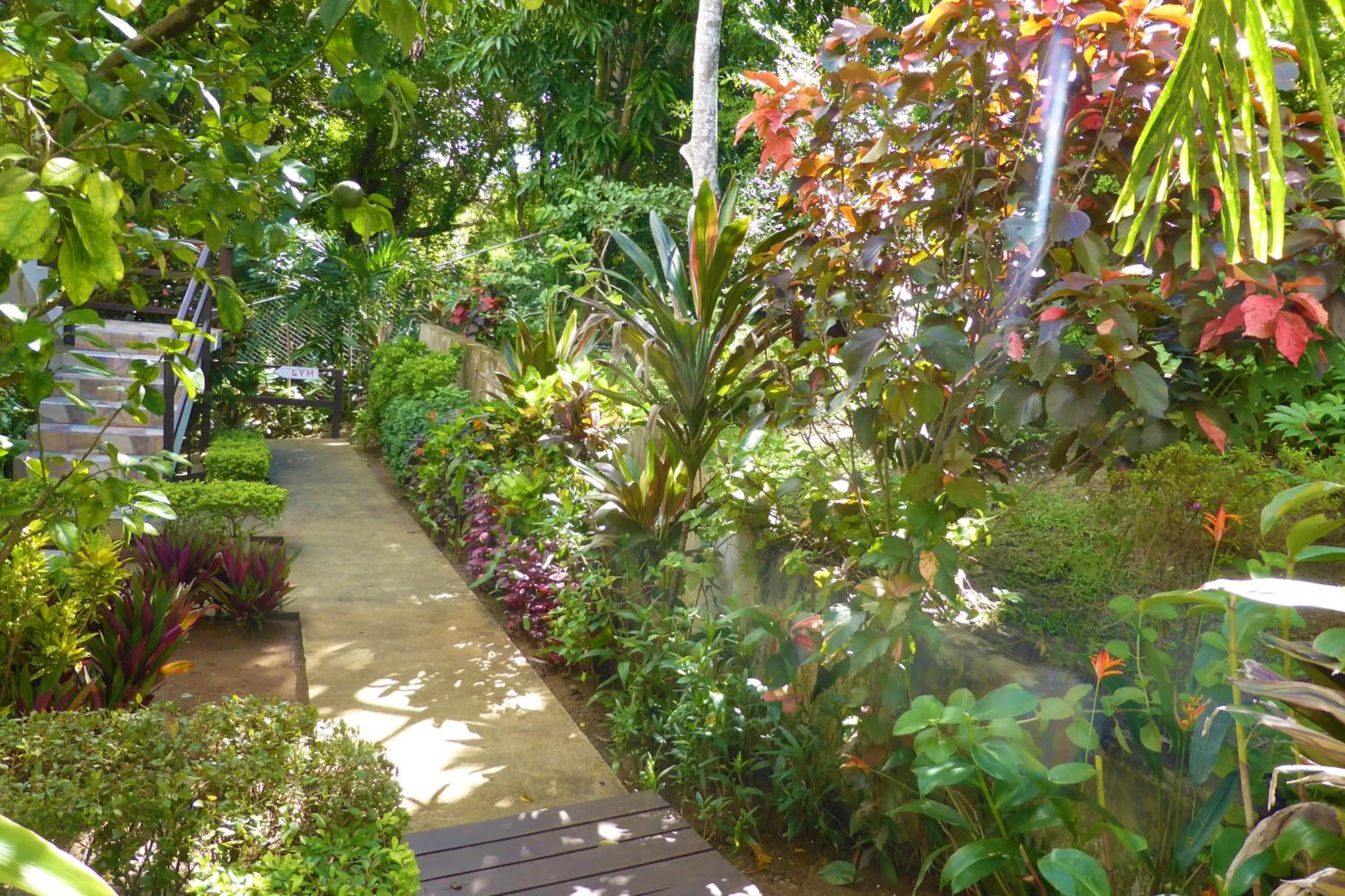 Garden in Marigot Palms Luxury Caribbean Apartment Suites