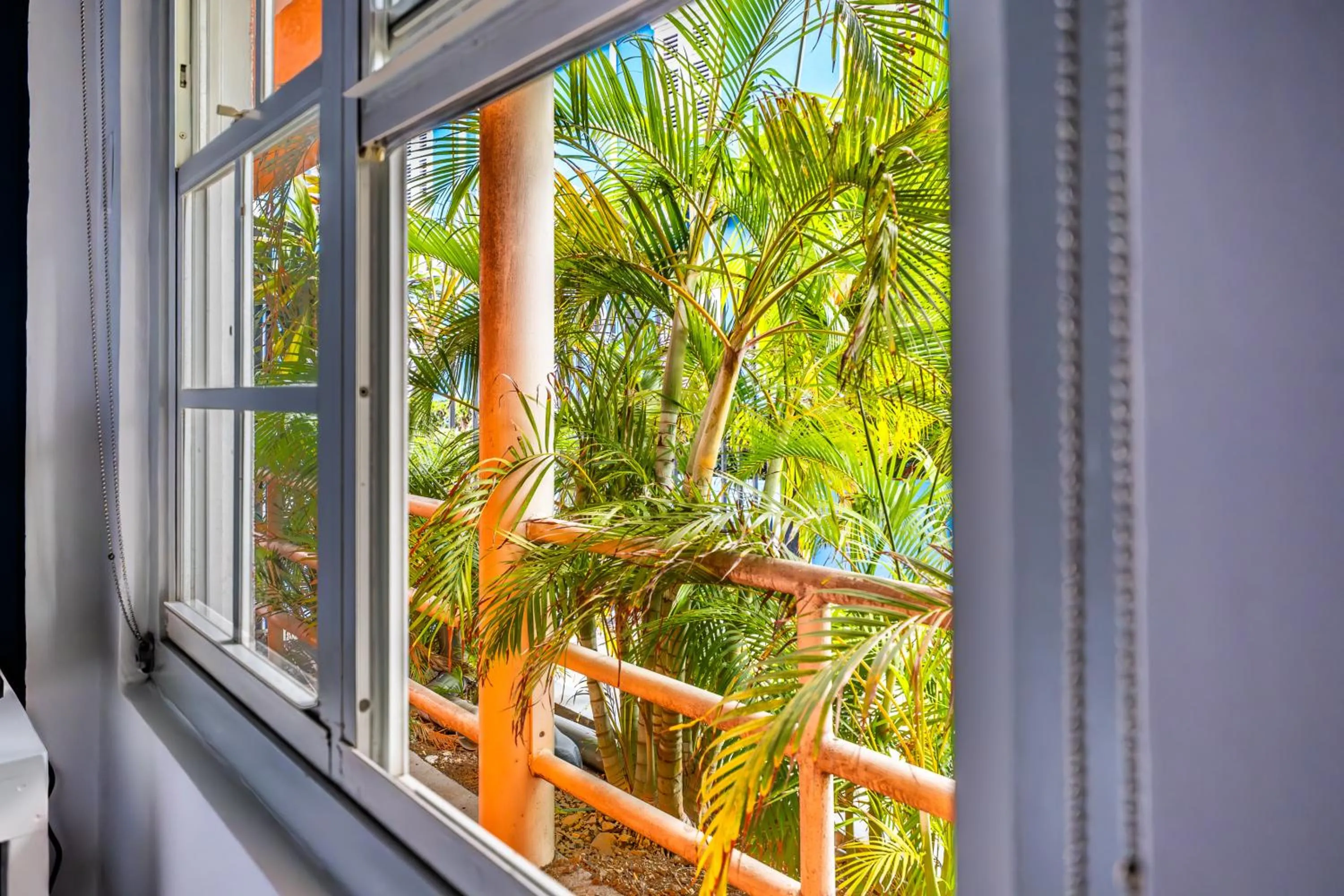 View (from property/room) in The Freedom Hotel