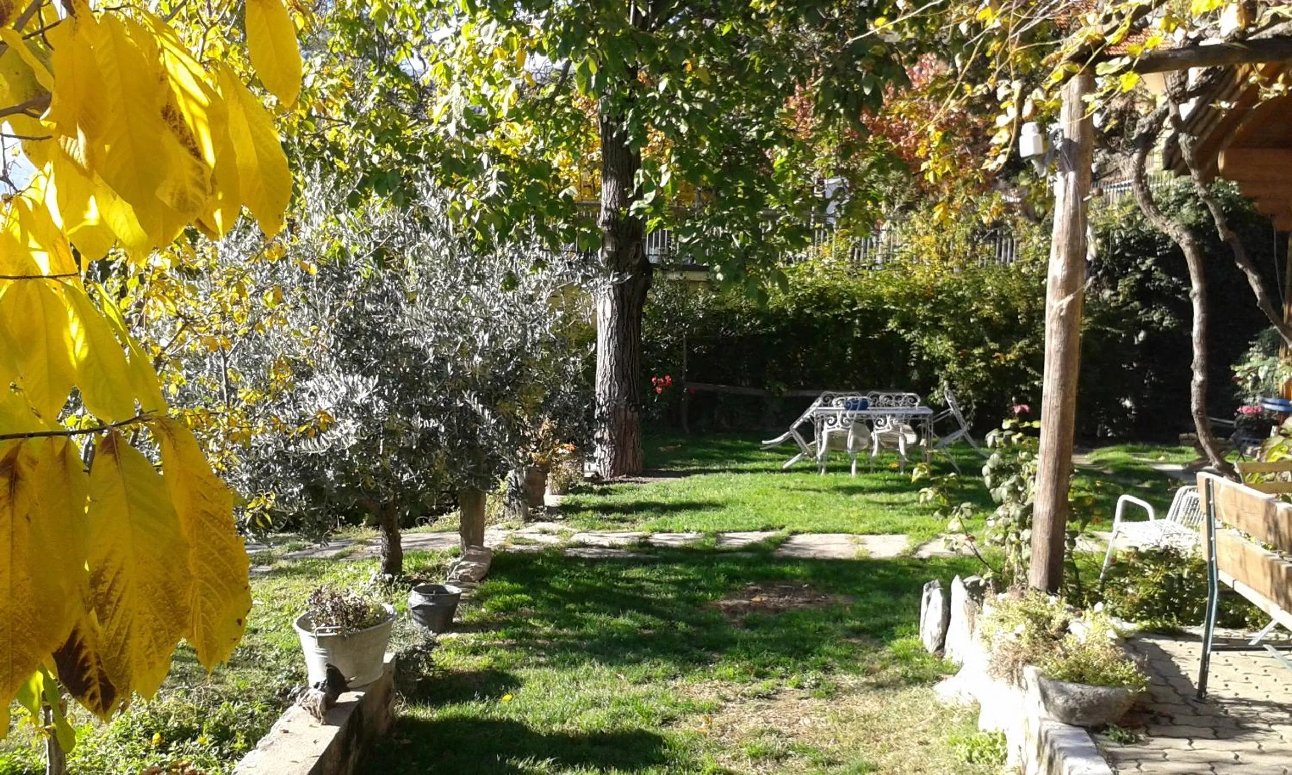 Garden in Pera Rionda