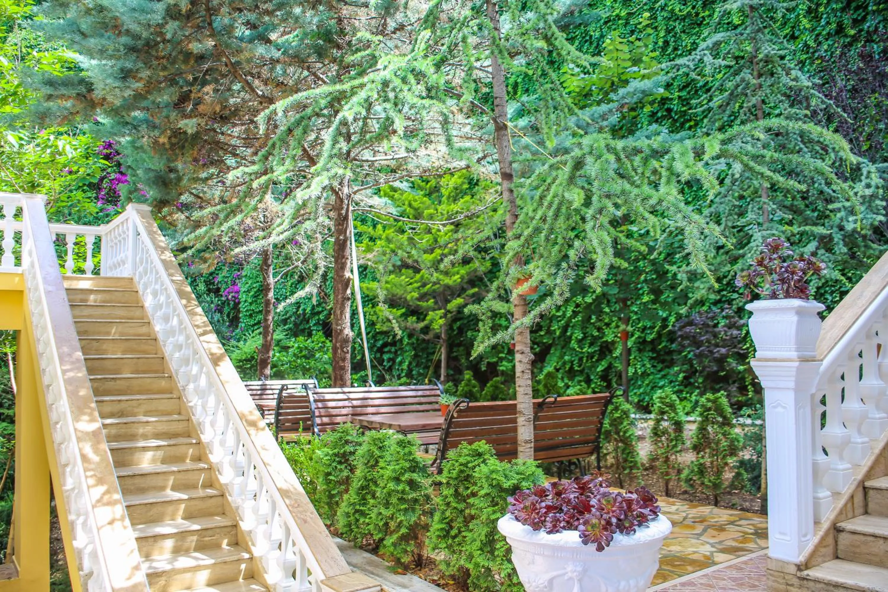 Garden in Hotel Liro - Adults Only