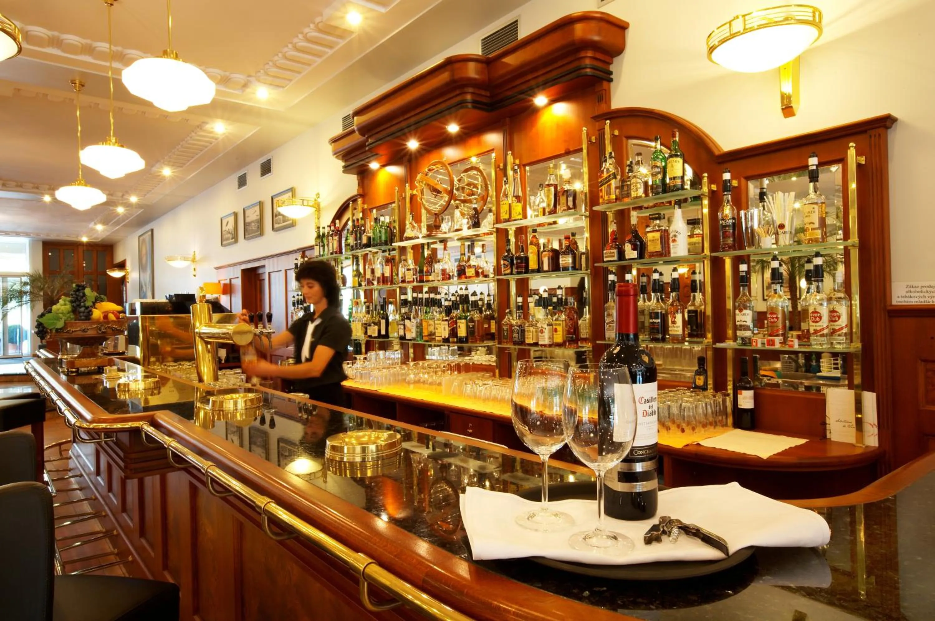 Lounge or bar in Hotel Avion