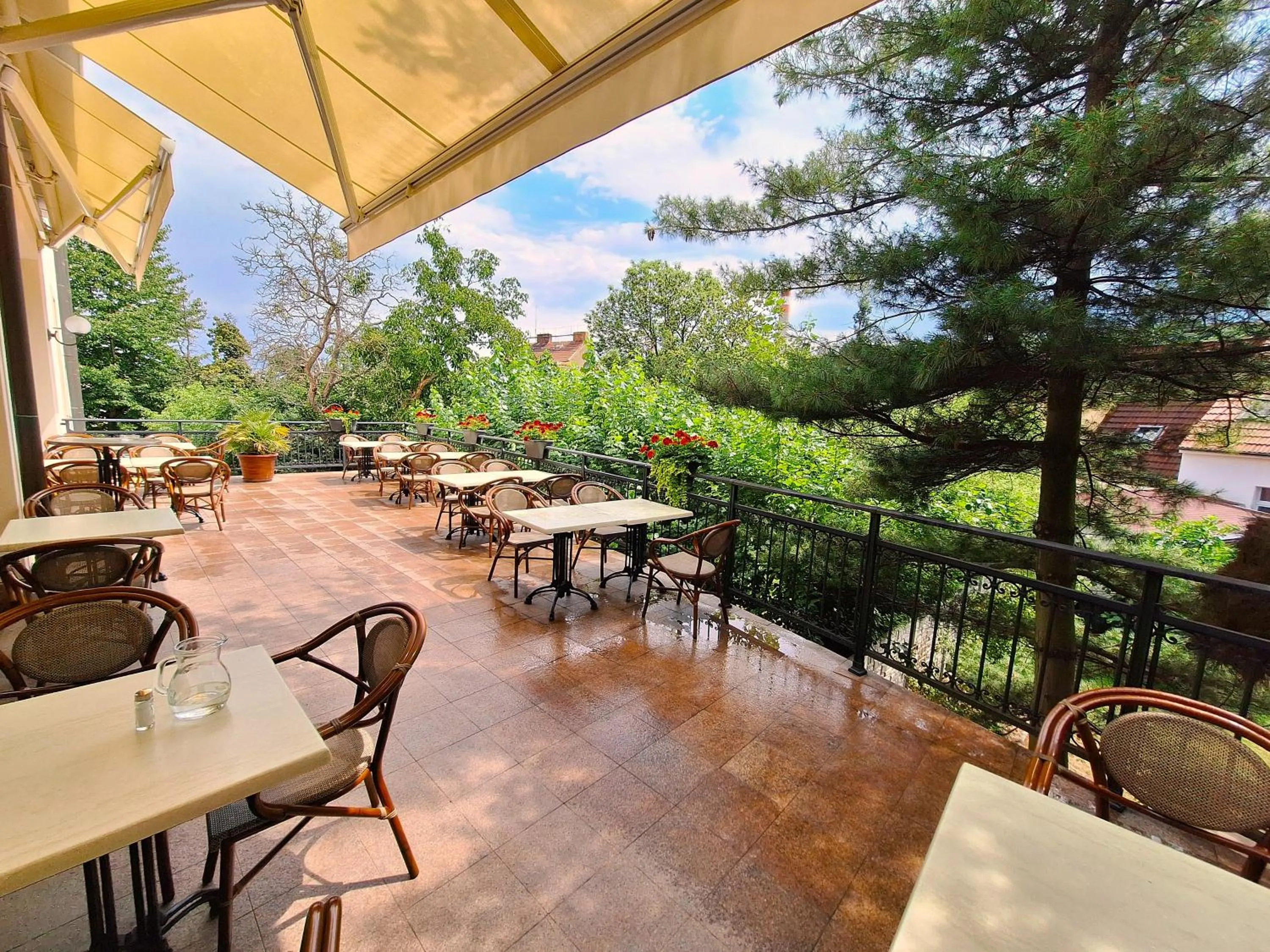 Restaurant/places to eat in Hotel Avion