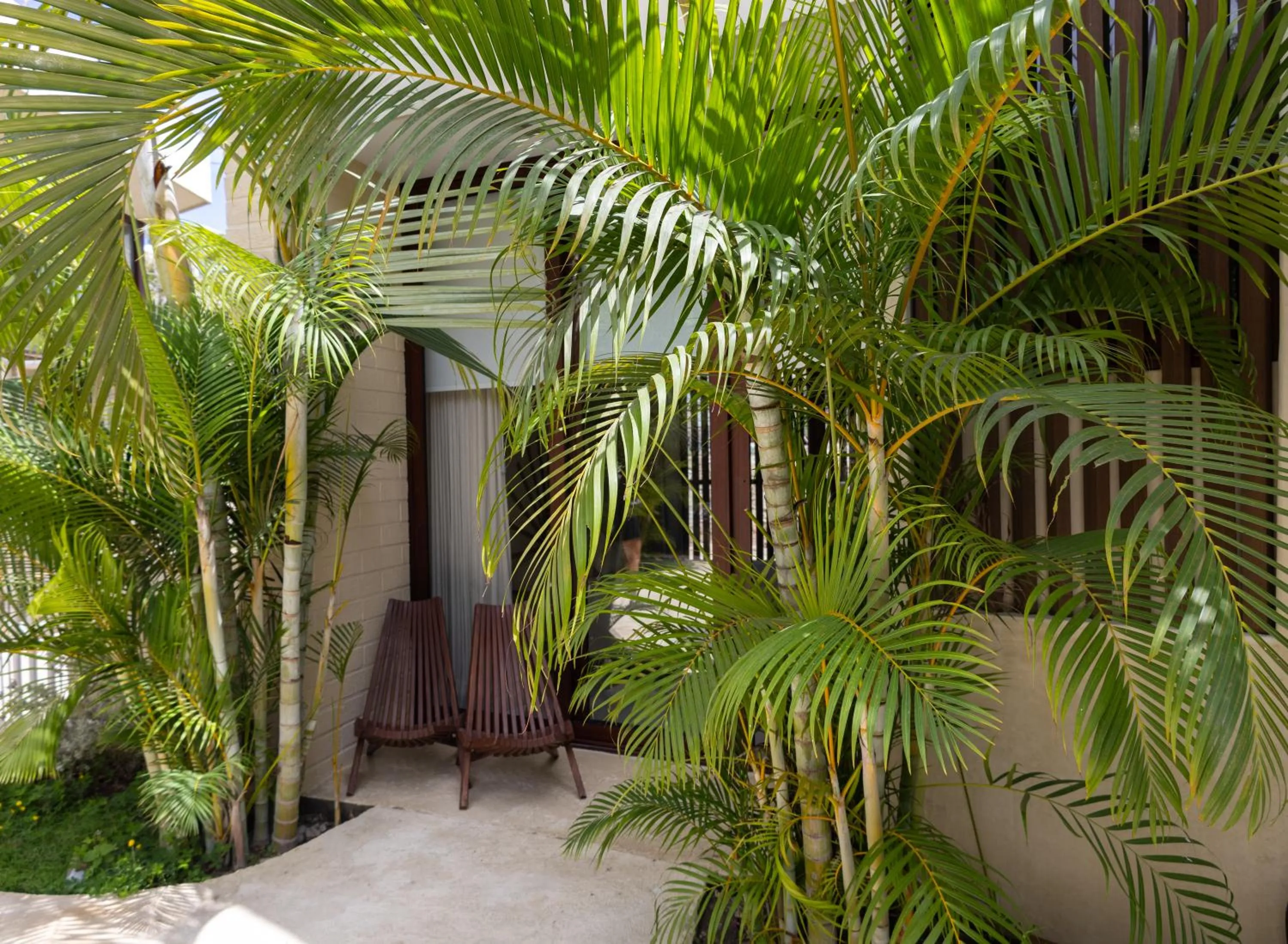 Patio in La Bohème Sayulita
