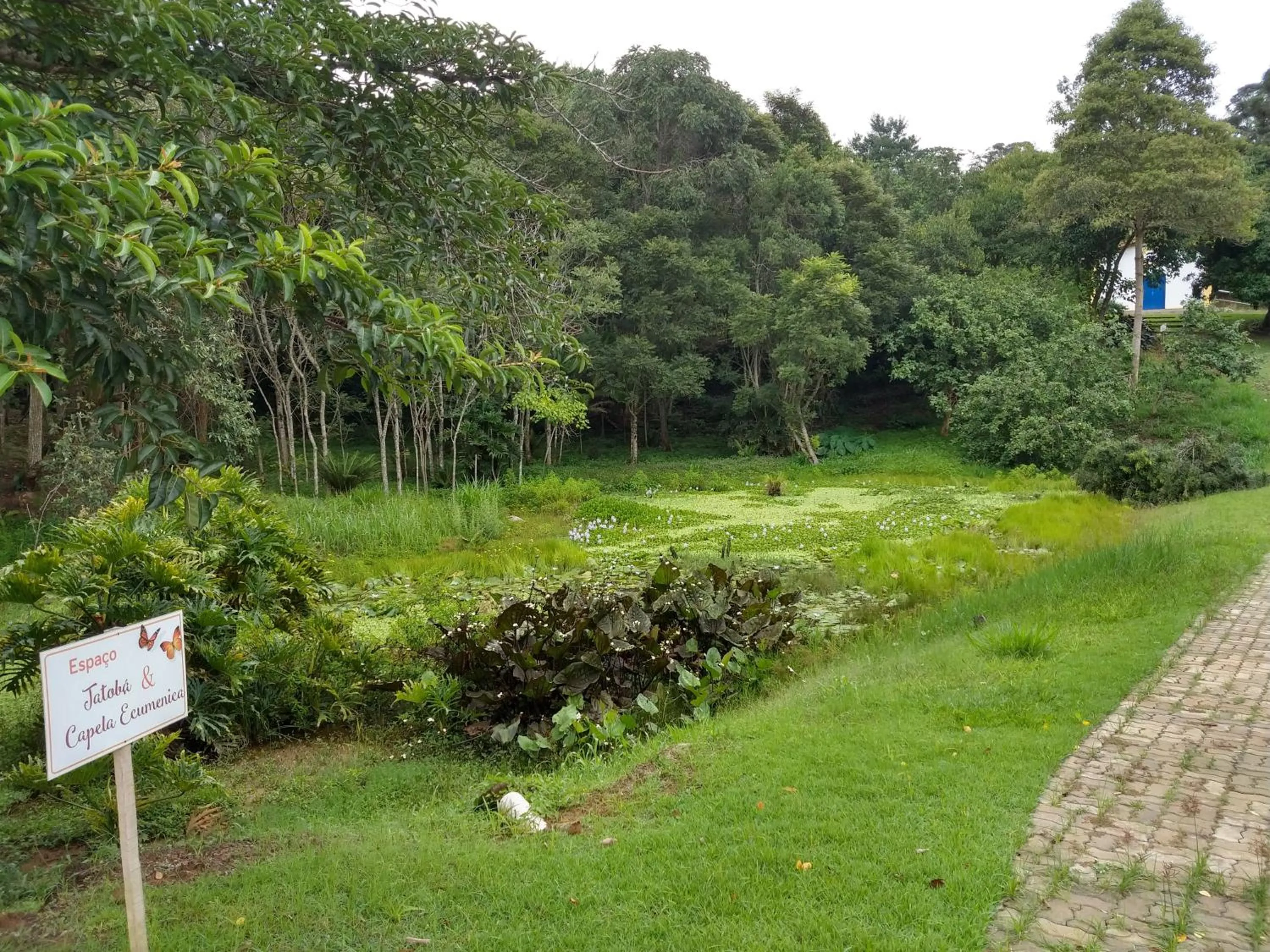 Natural landscape in Pousada Realeza Atibaia