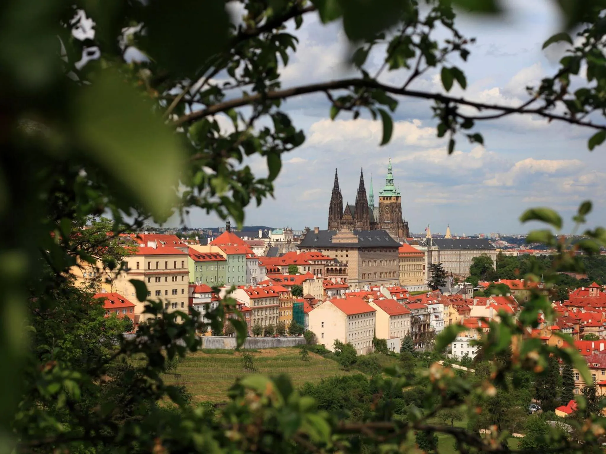 Area and facilities in Hotel Questenberg