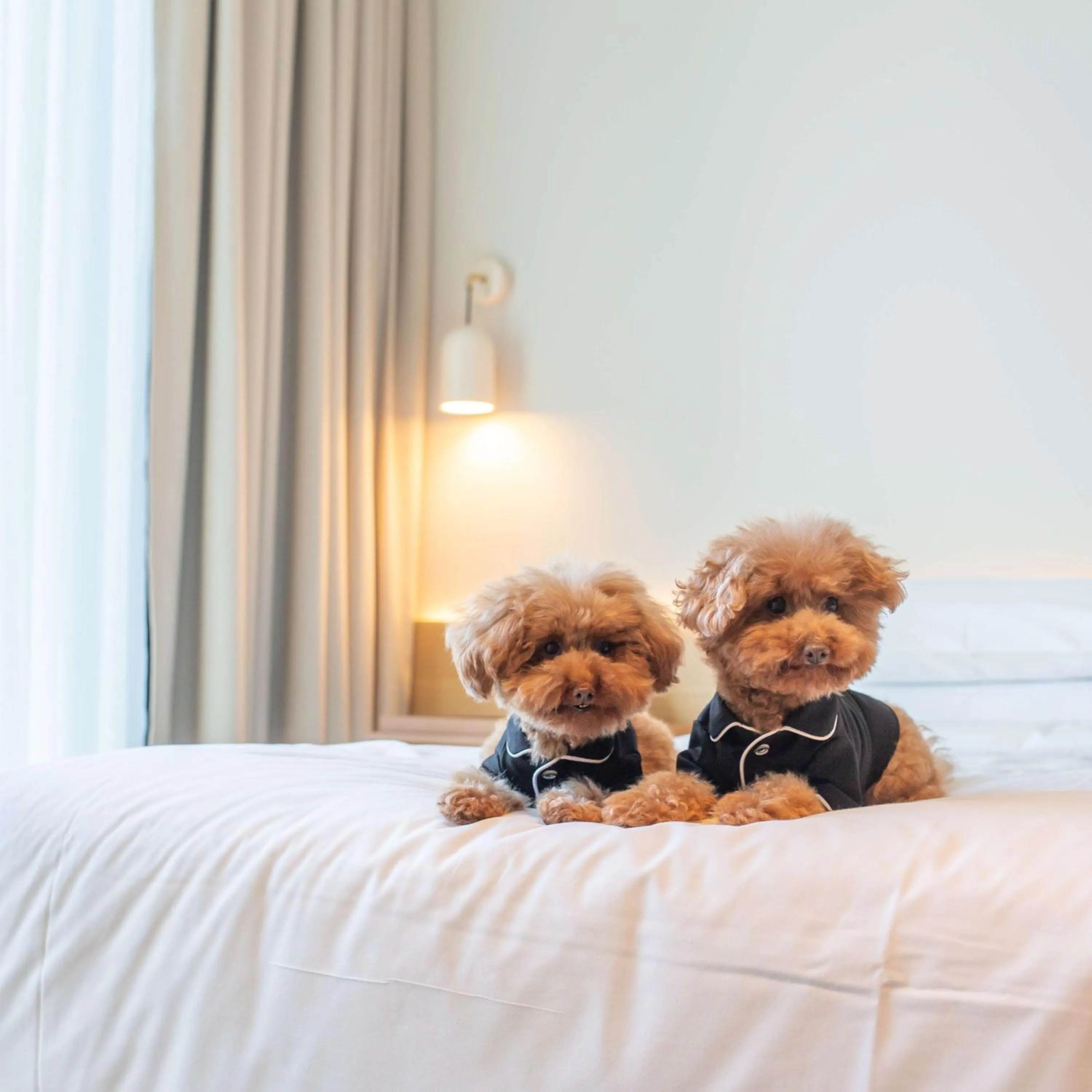 Bedroom, Bed in Hyatt Centric Melbourne