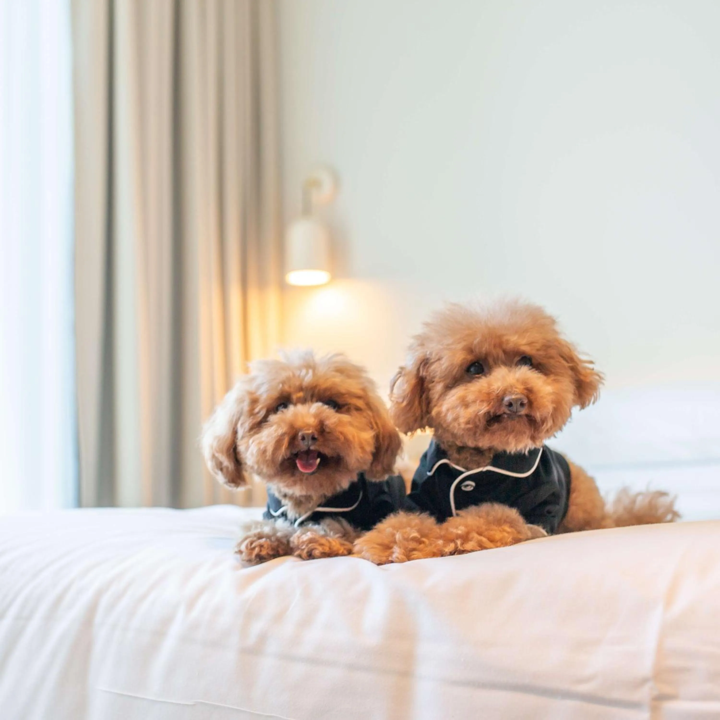 Bedroom in Hyatt Centric Melbourne