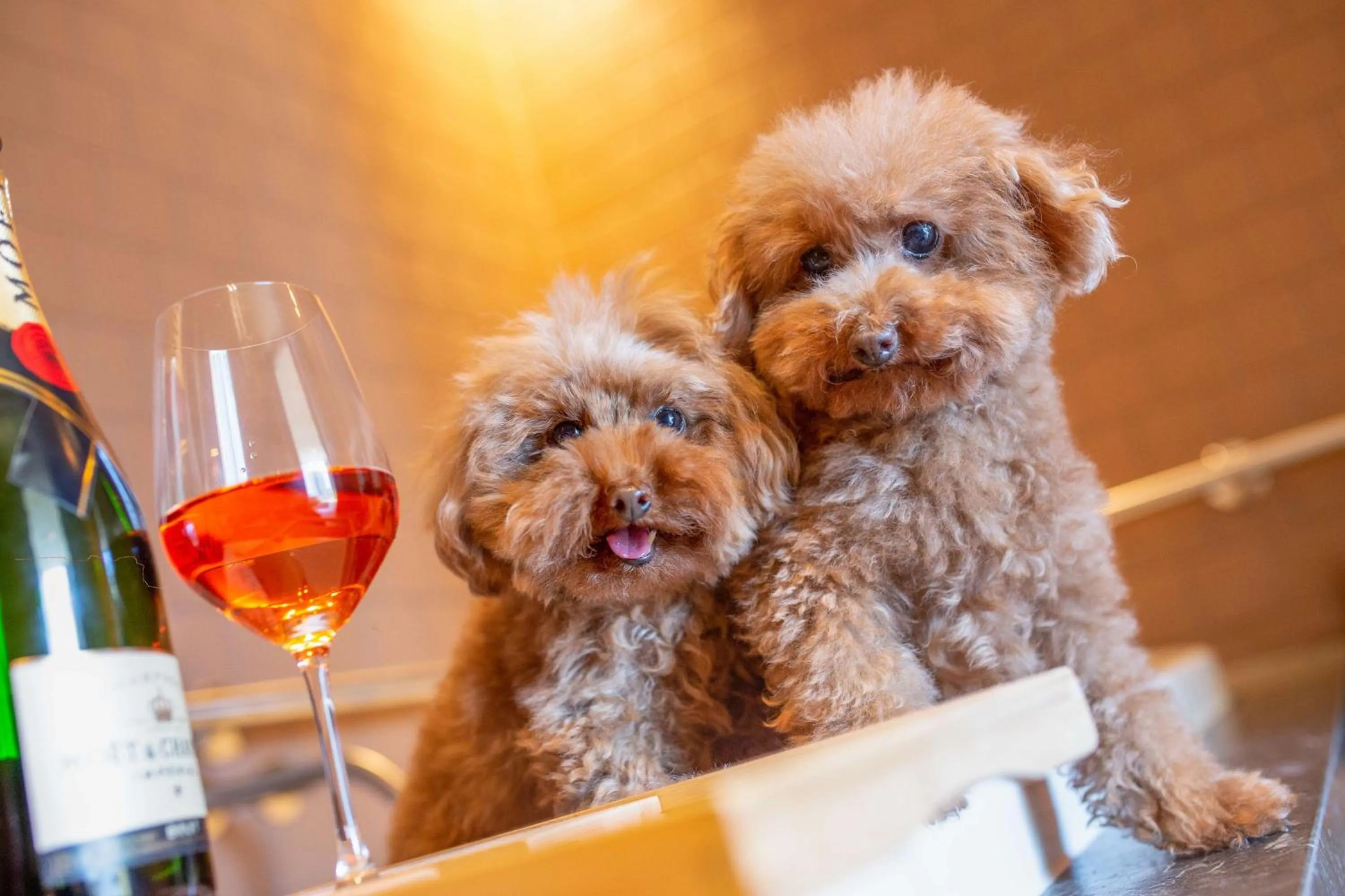 Bedroom in Hyatt Centric Melbourne