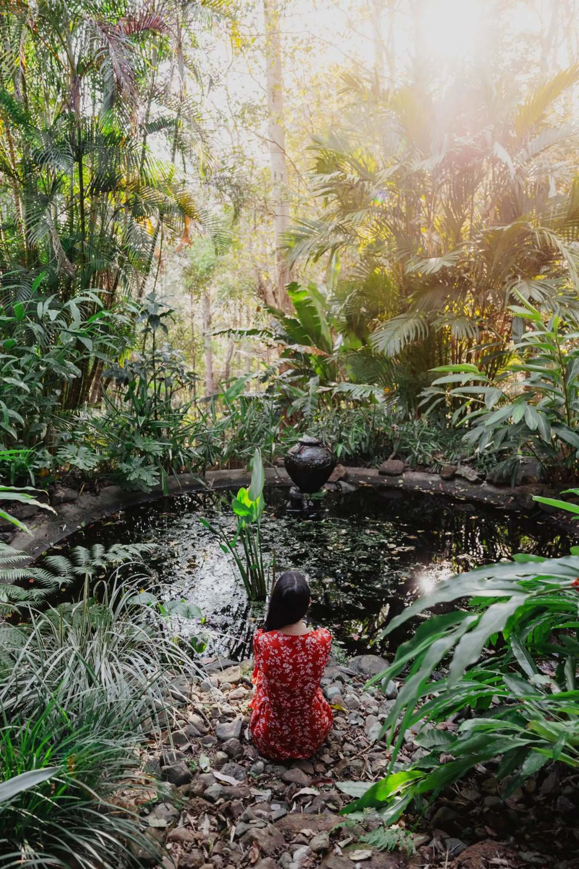 Natural landscape in Taman Sari Sunshine Coast Romantic Pet-Friendly Hinterland Retreat