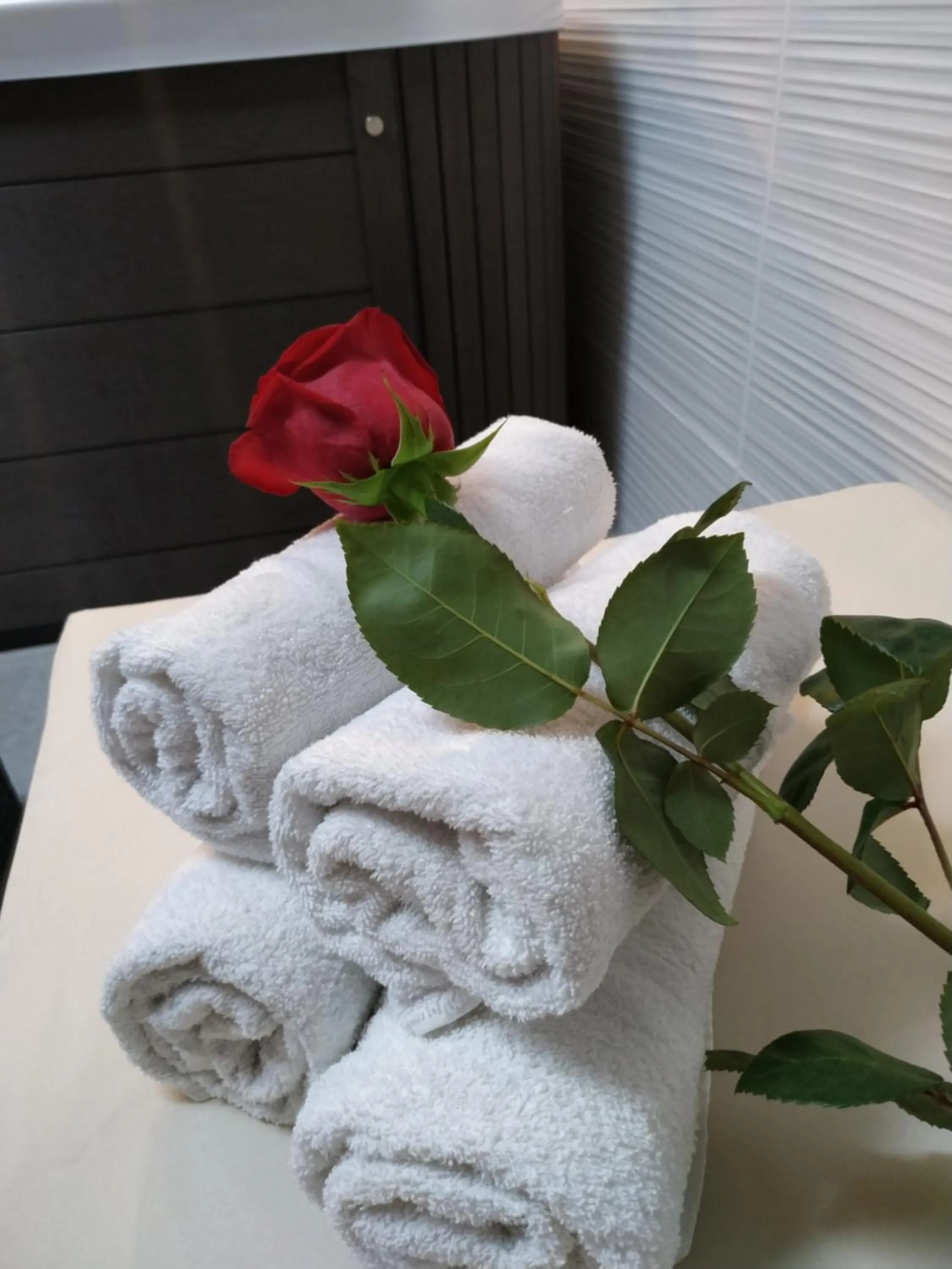 Hot Tub in Wellness Hotel Anna Nejdek