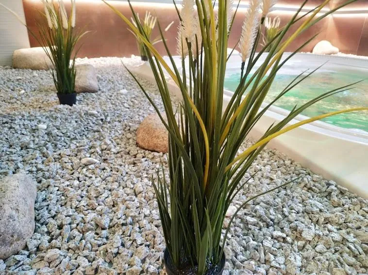 Wellness Hotel Anna Nejdek