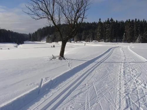 Skiing in Wellness Hotel Anna Nejdek