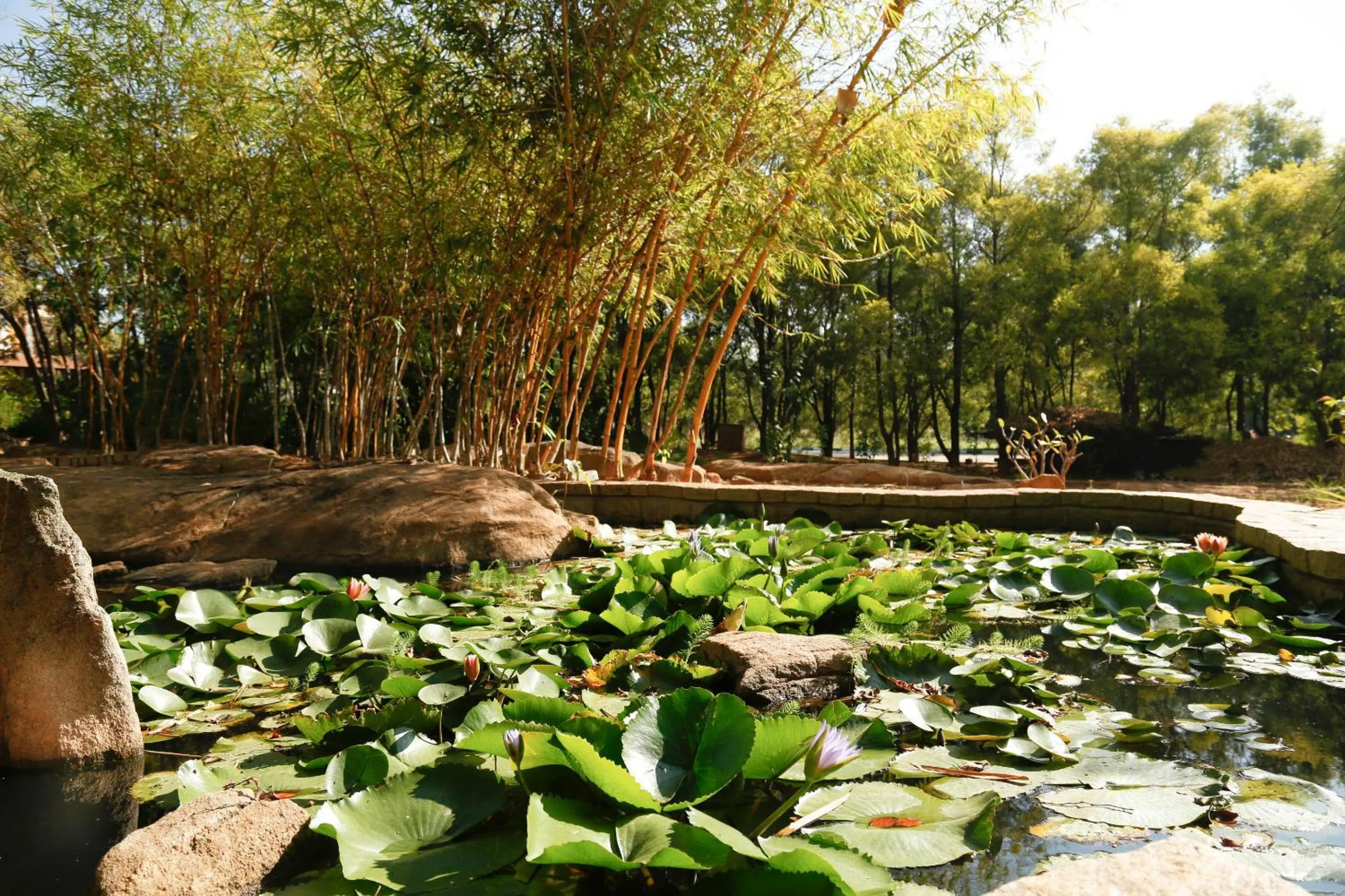 Day in Olde Bangalore Resort and Wellness Center