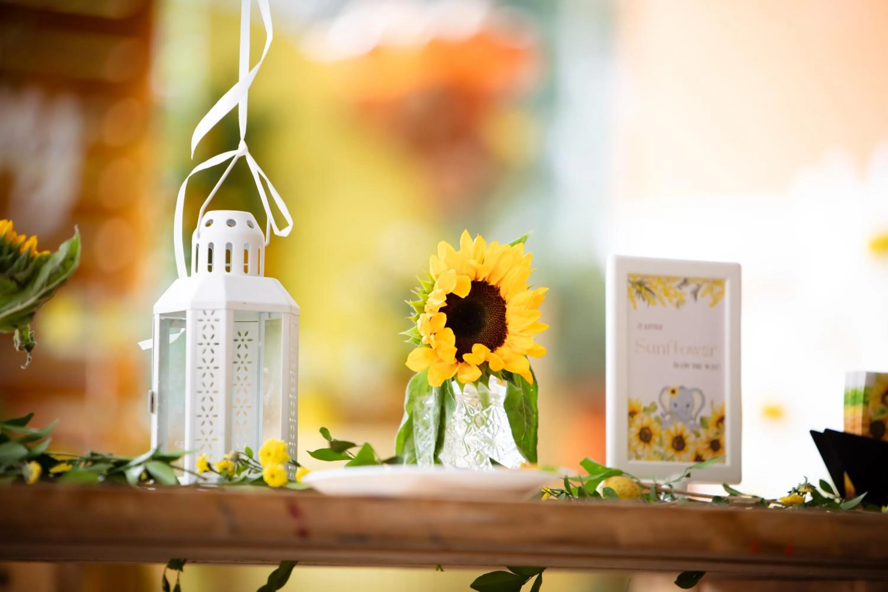 View (from property/room) in Olde Bangalore Resort and Wellness Center