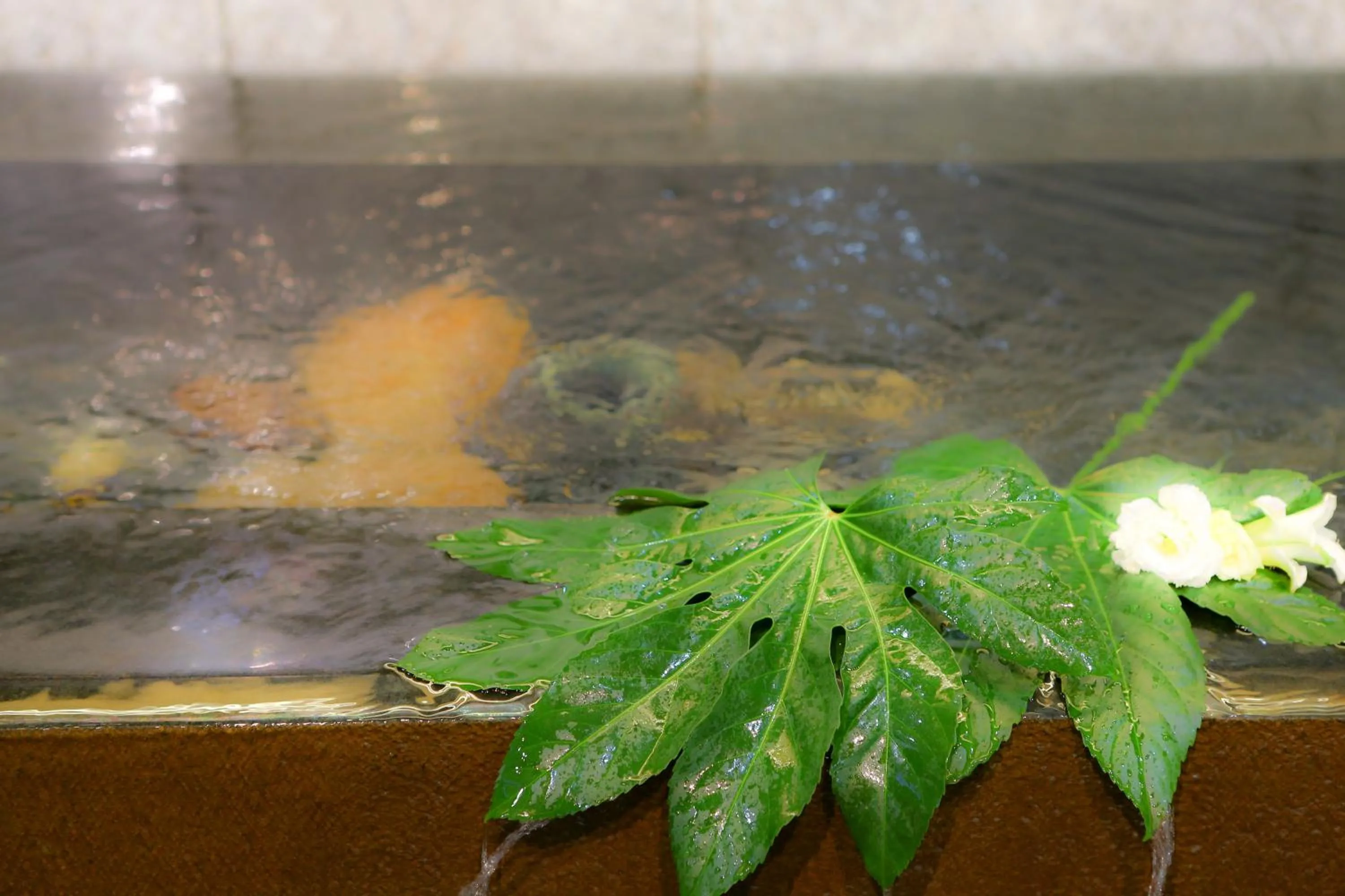 Decorative detail in Kamiyamada Hotel