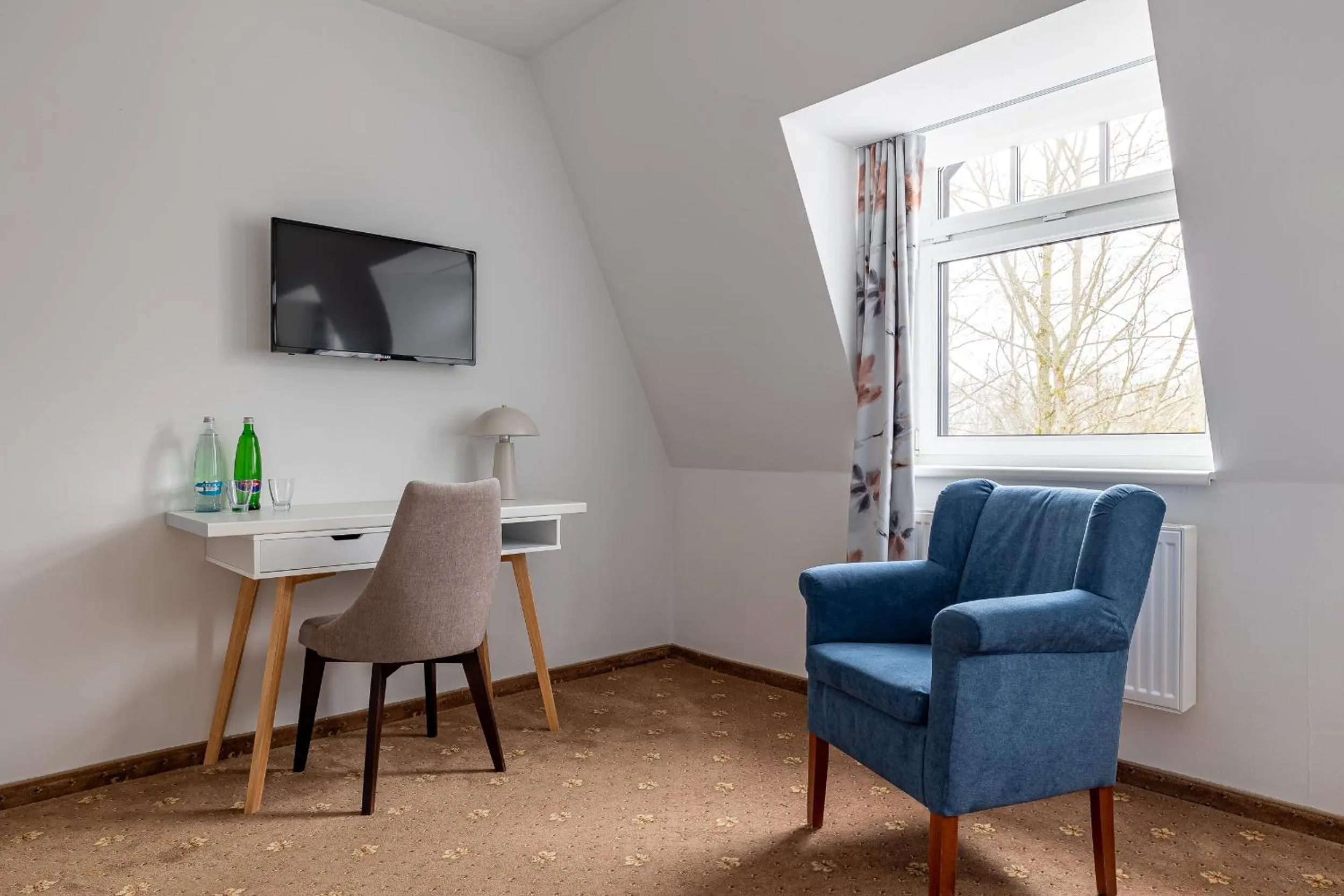 TV and multimedia in Spa & Wellness Hotel Silva