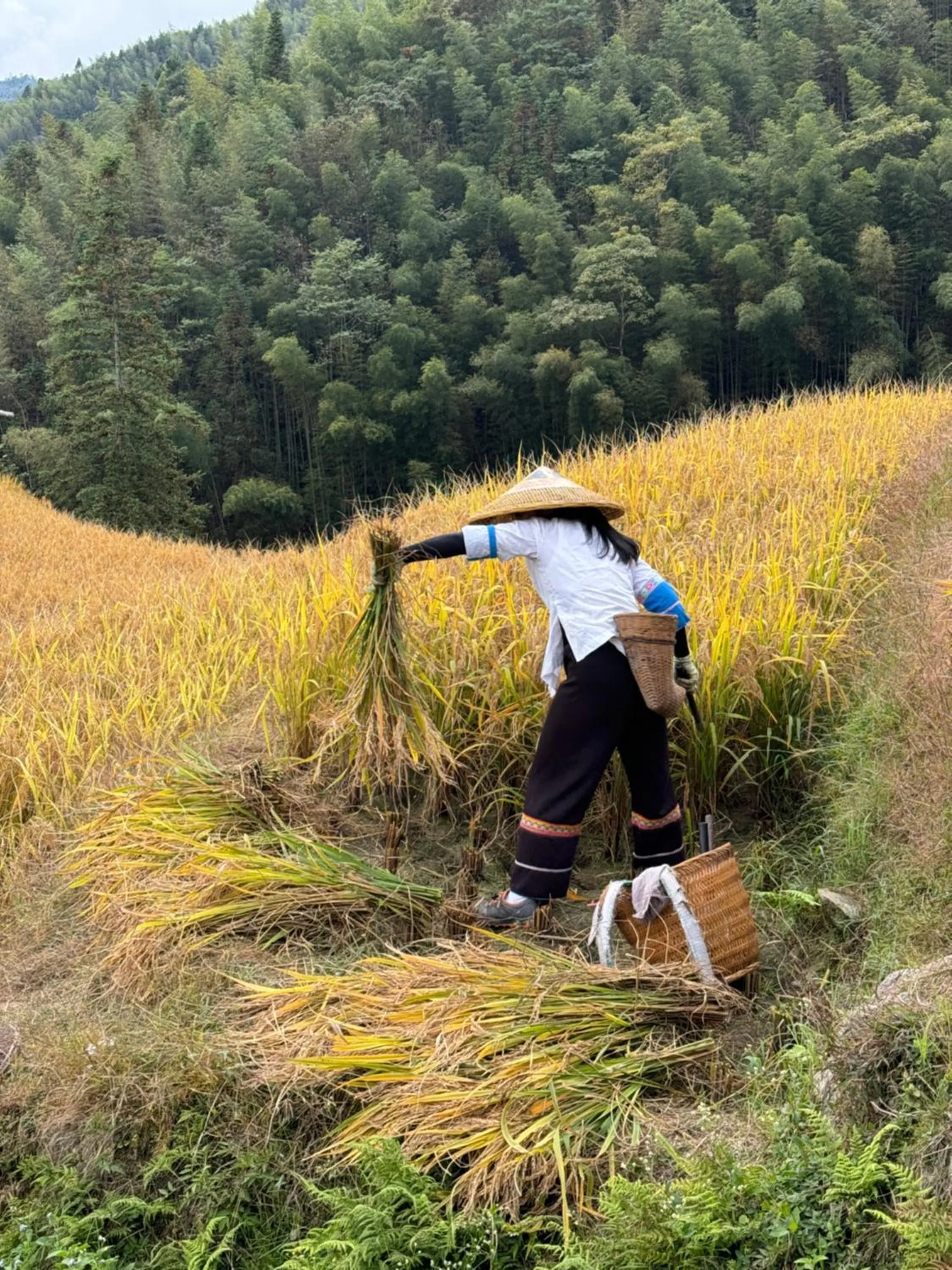 Property building in Longji Holiday Hotel