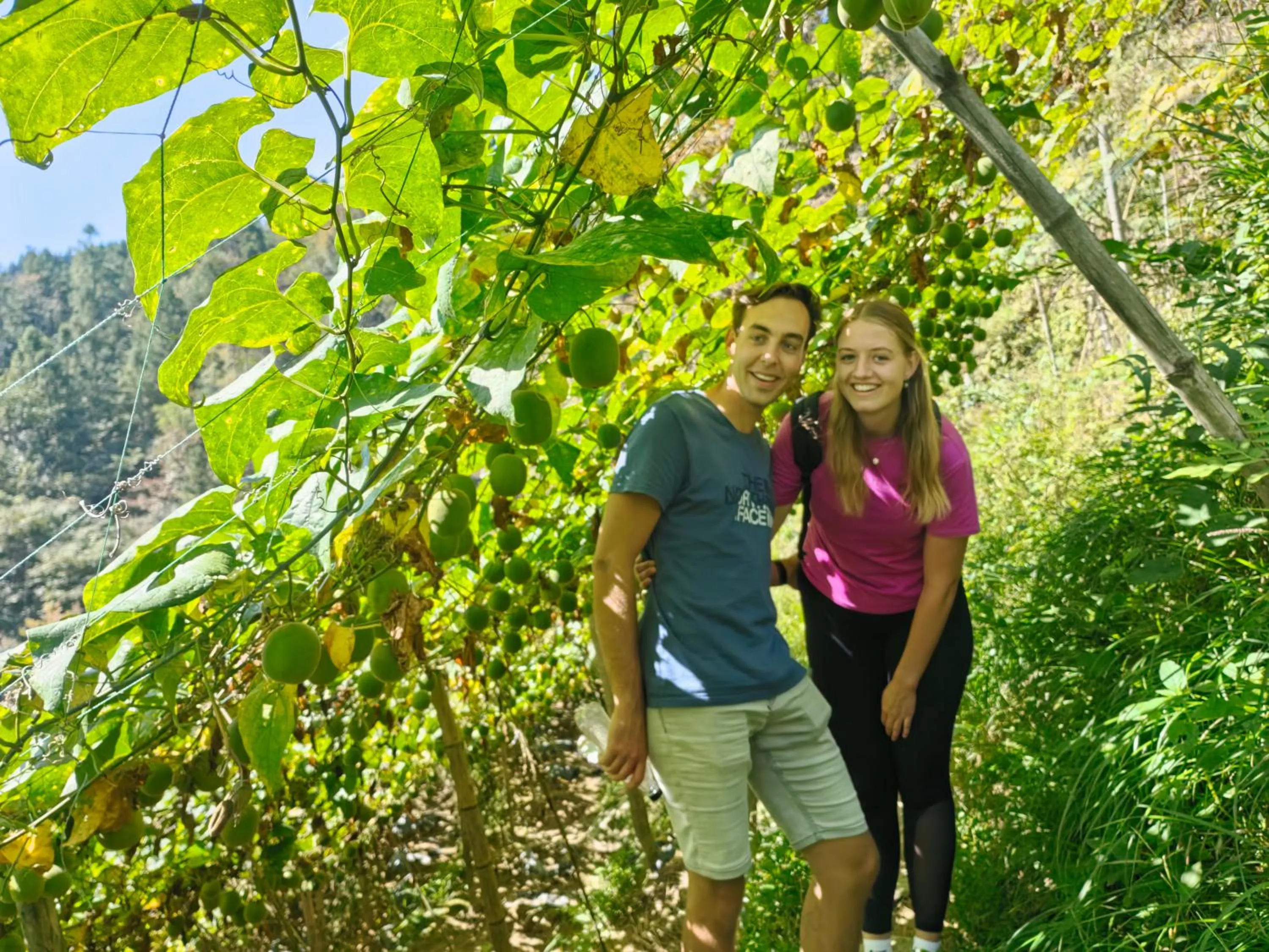 Property building in Longji Holiday Hotel