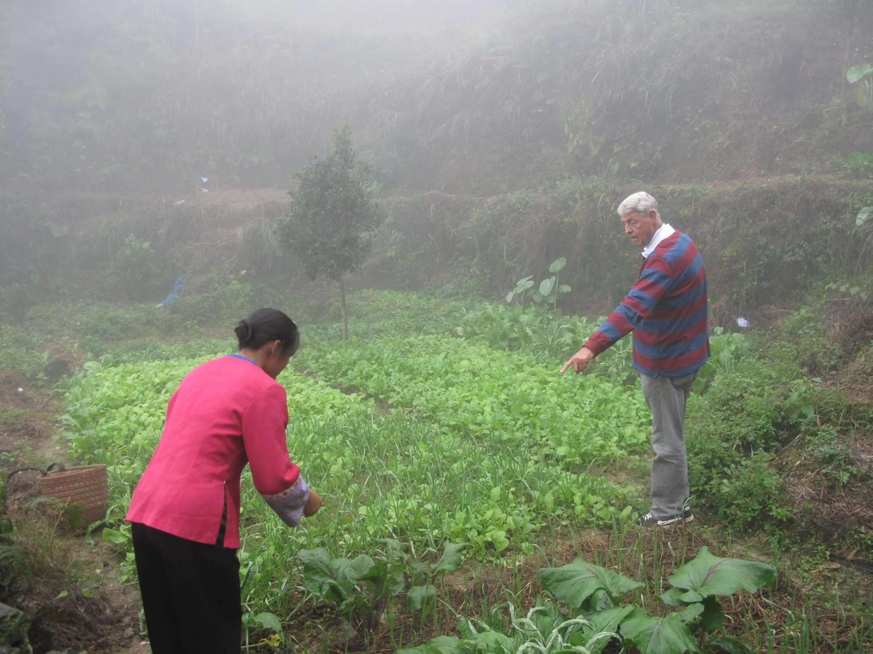 Other in Longji Holiday Hotel