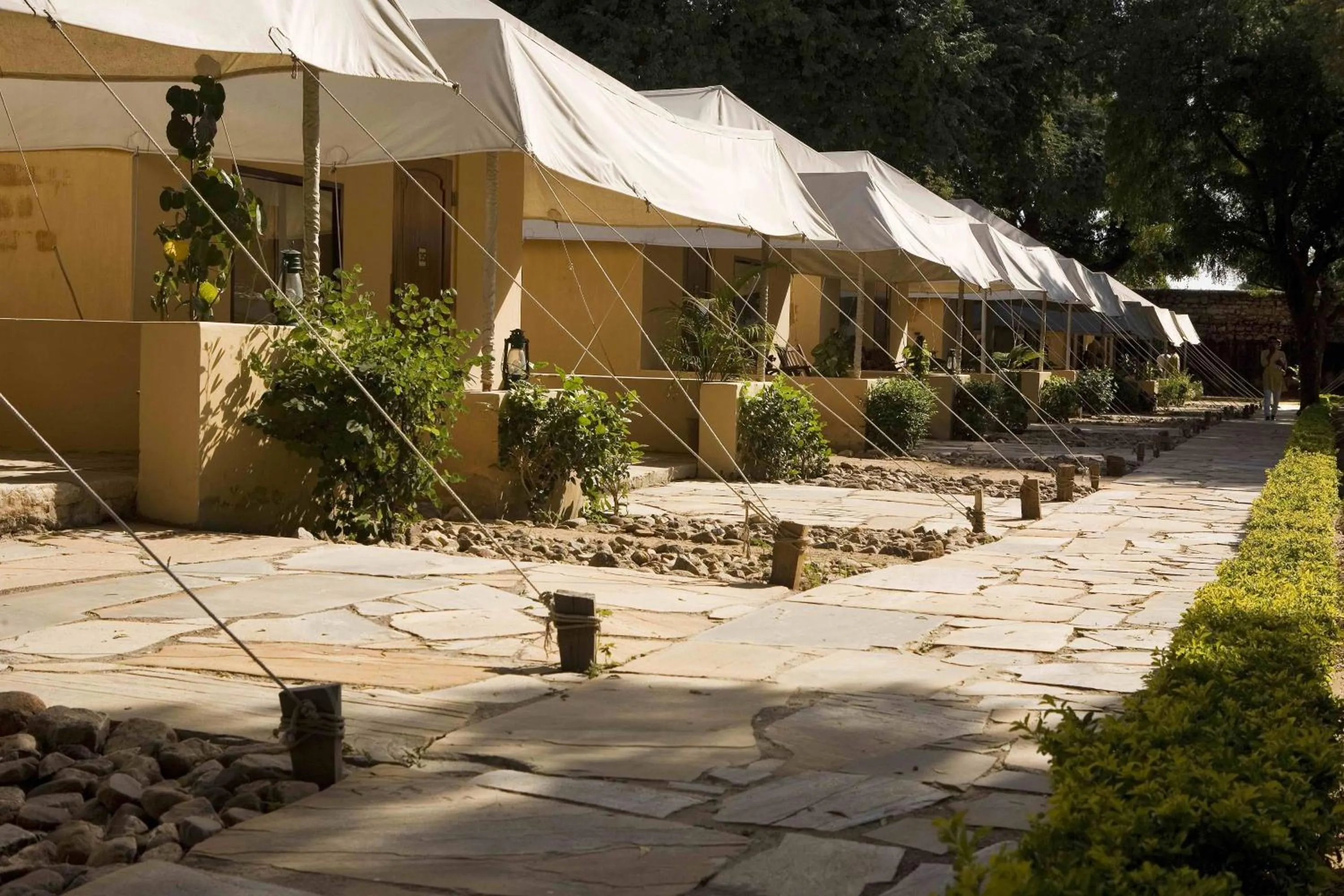 Garden in Samode Bagh