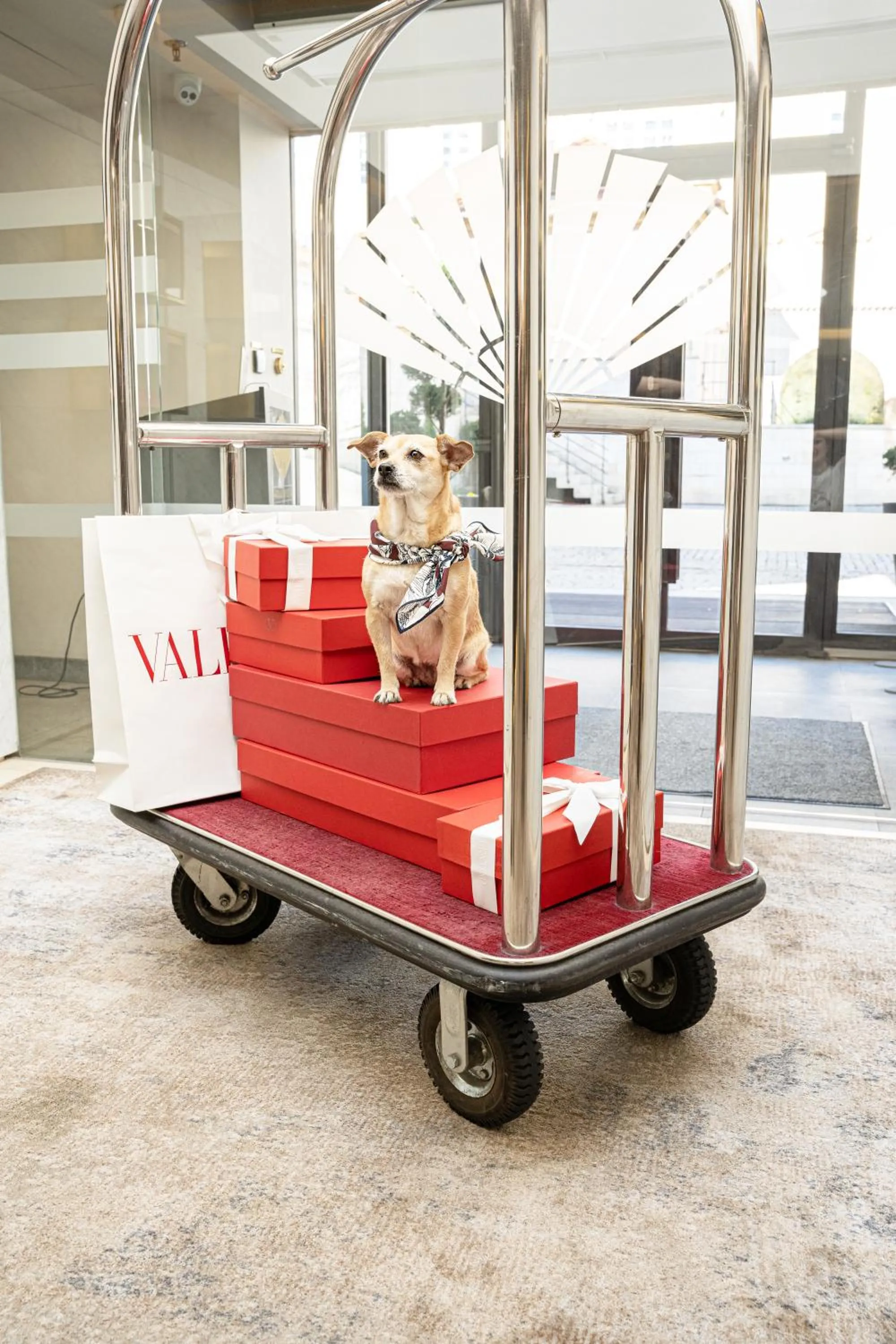 pet friendly in Mandarin Oriental, Prague